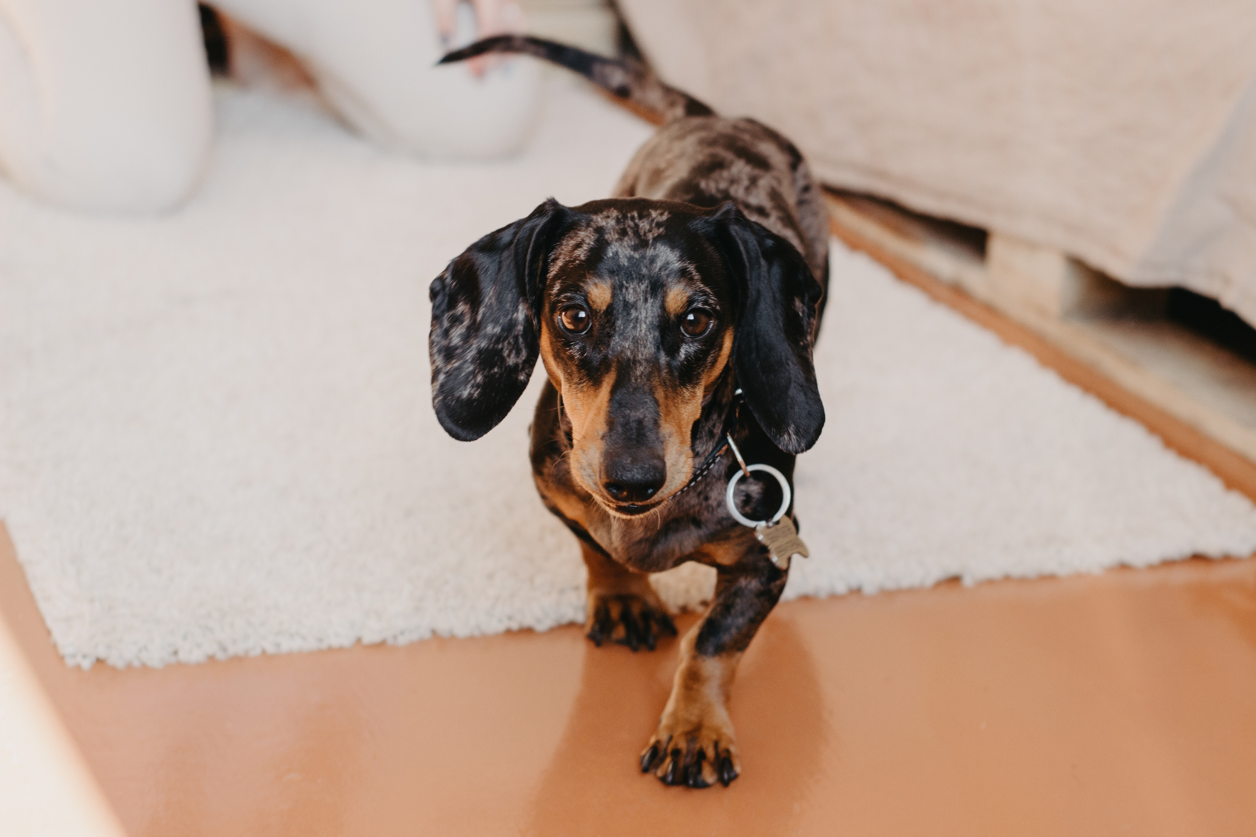 Дарья и Роман. Портретный и свадебный фотограф в Перми Ная Моложенко