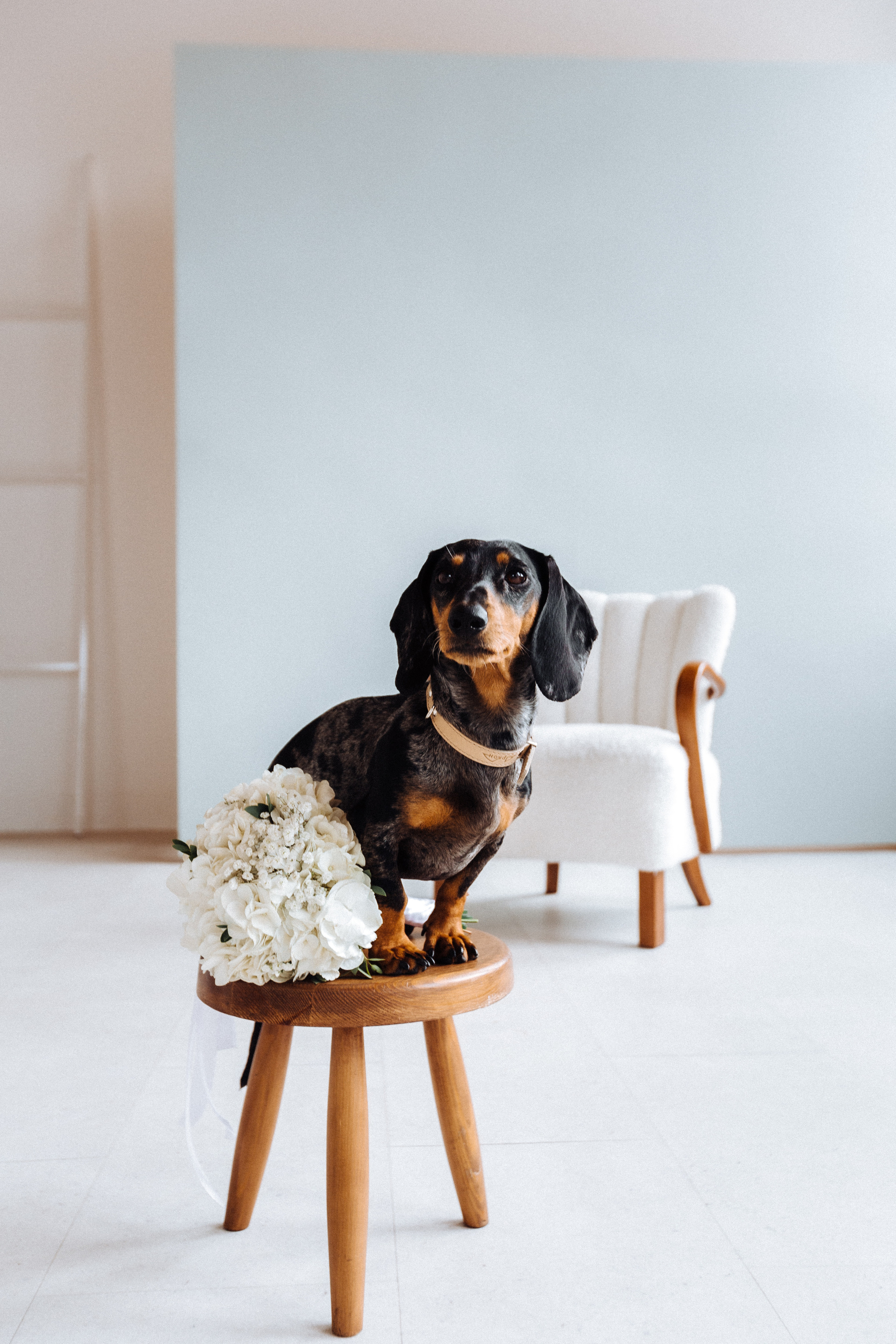 Дарья и Роман. Портретный и свадебный фотограф в Перми Ная Моложенко