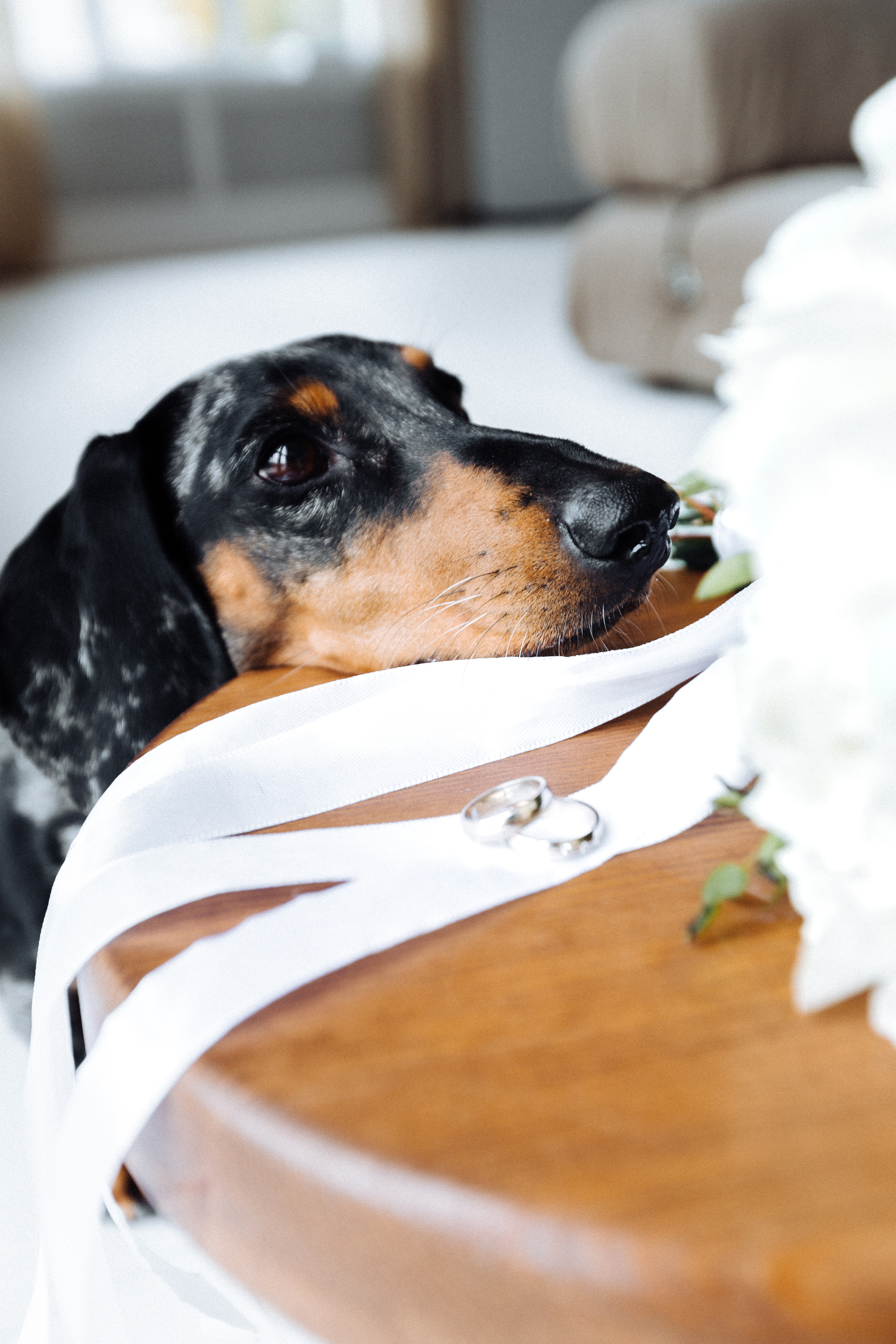 Дарья и Роман. Портретный и свадебный фотограф в Перми Ная Моложенко