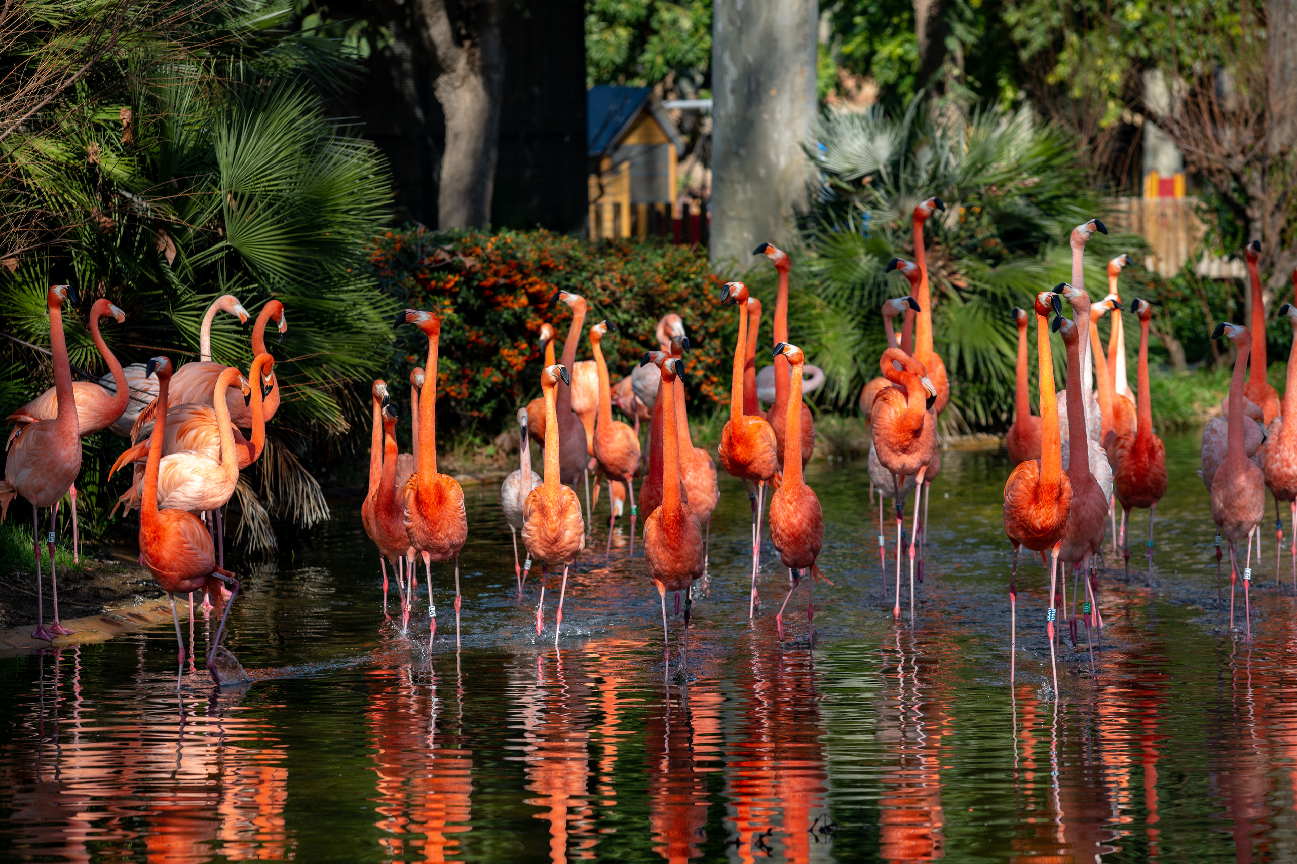 Зоопарк в Барселоне. Фотограф Сонкина Татьяна