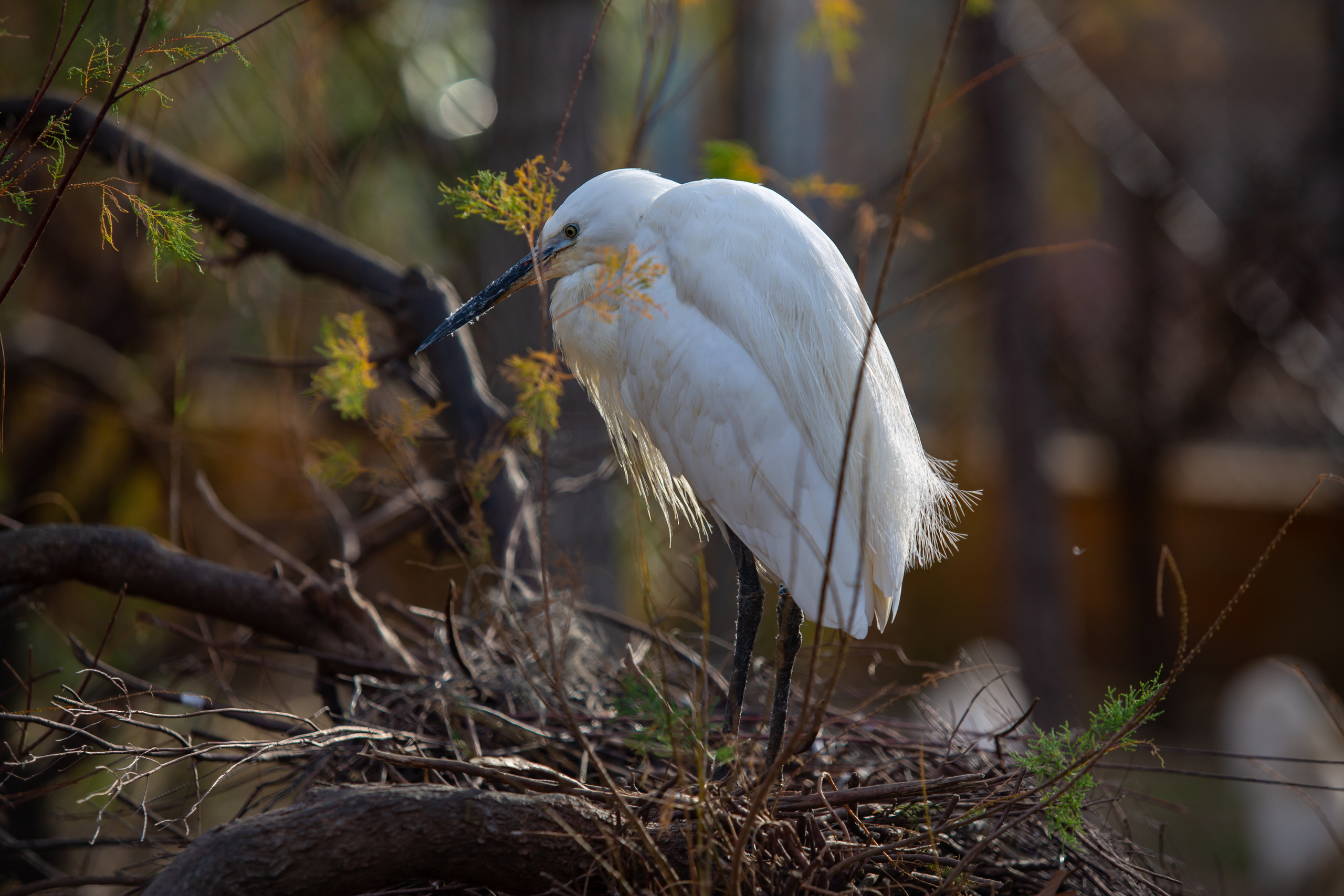 Зоопарк в Барселоне. Фотограф Сонкина Татьяна