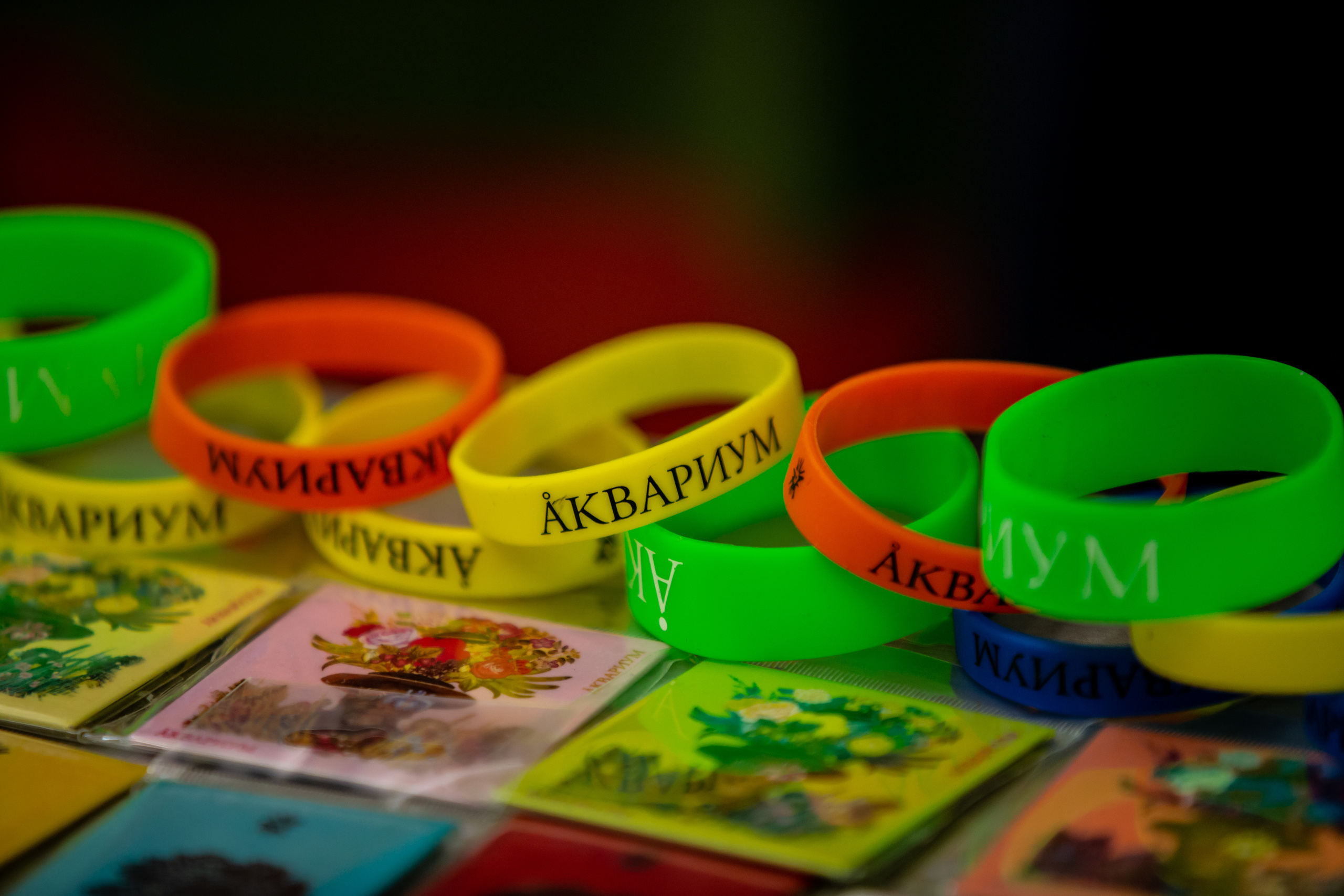 Группа Аквариум 19 февраля в Подольске. Photographer Sonkina Tatiana (Tanya Ash)