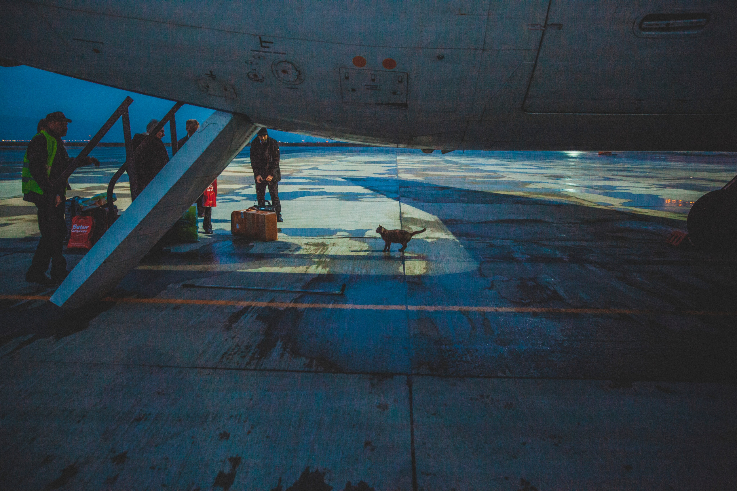 Каспийский страж. Фотограф Александра Степанова