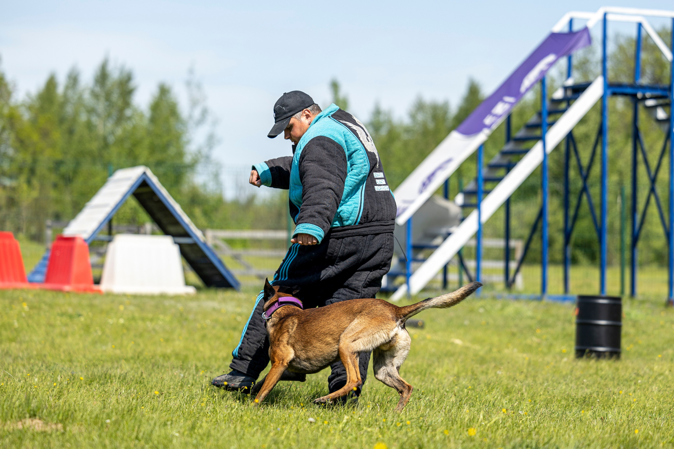 Испытания по мондьорингу в Нижнем Новгороде. Фотограф-анималист Анна Маринич