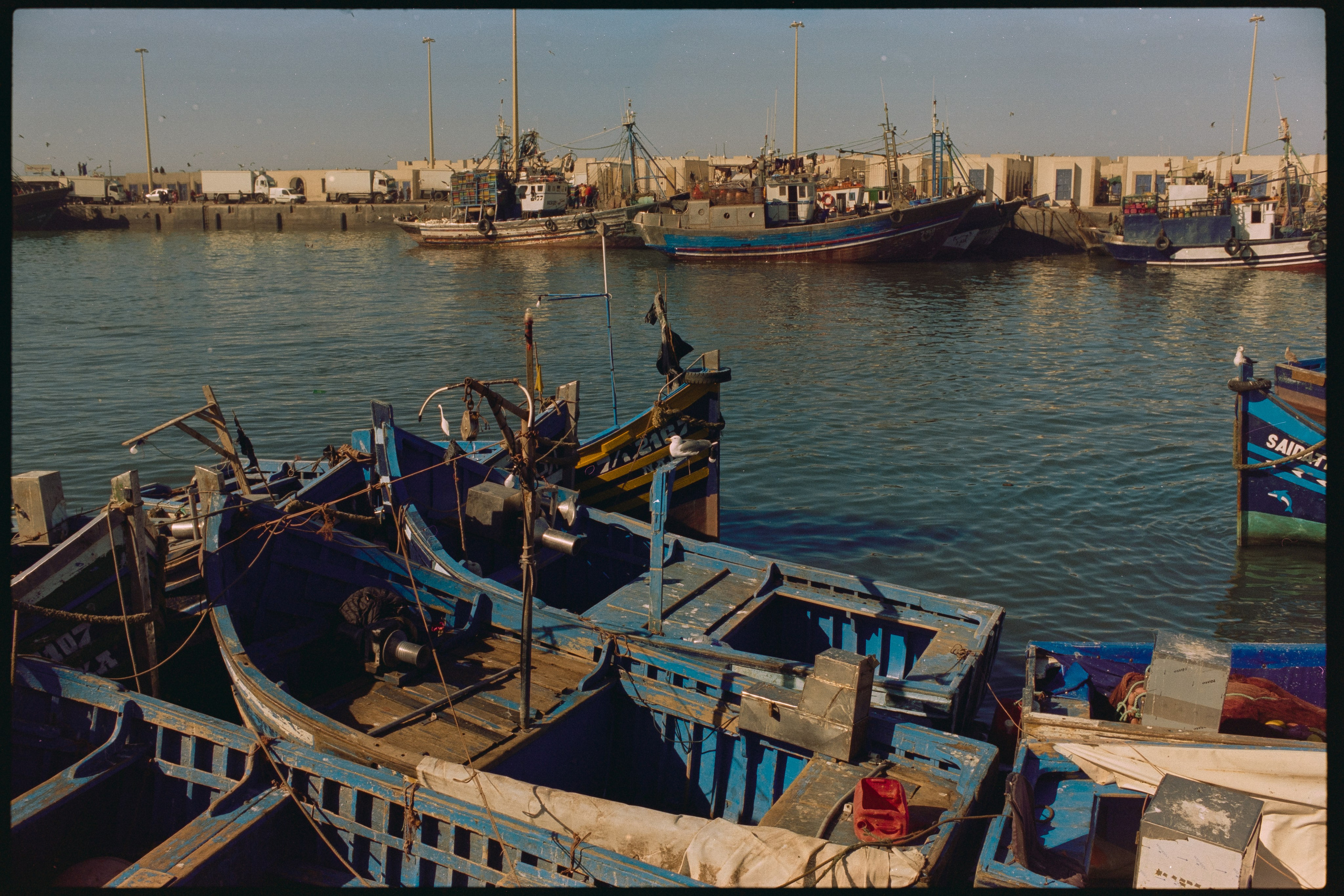 Марокко (плёнка Алёны). Игорь Гичка. Портрет с любовью