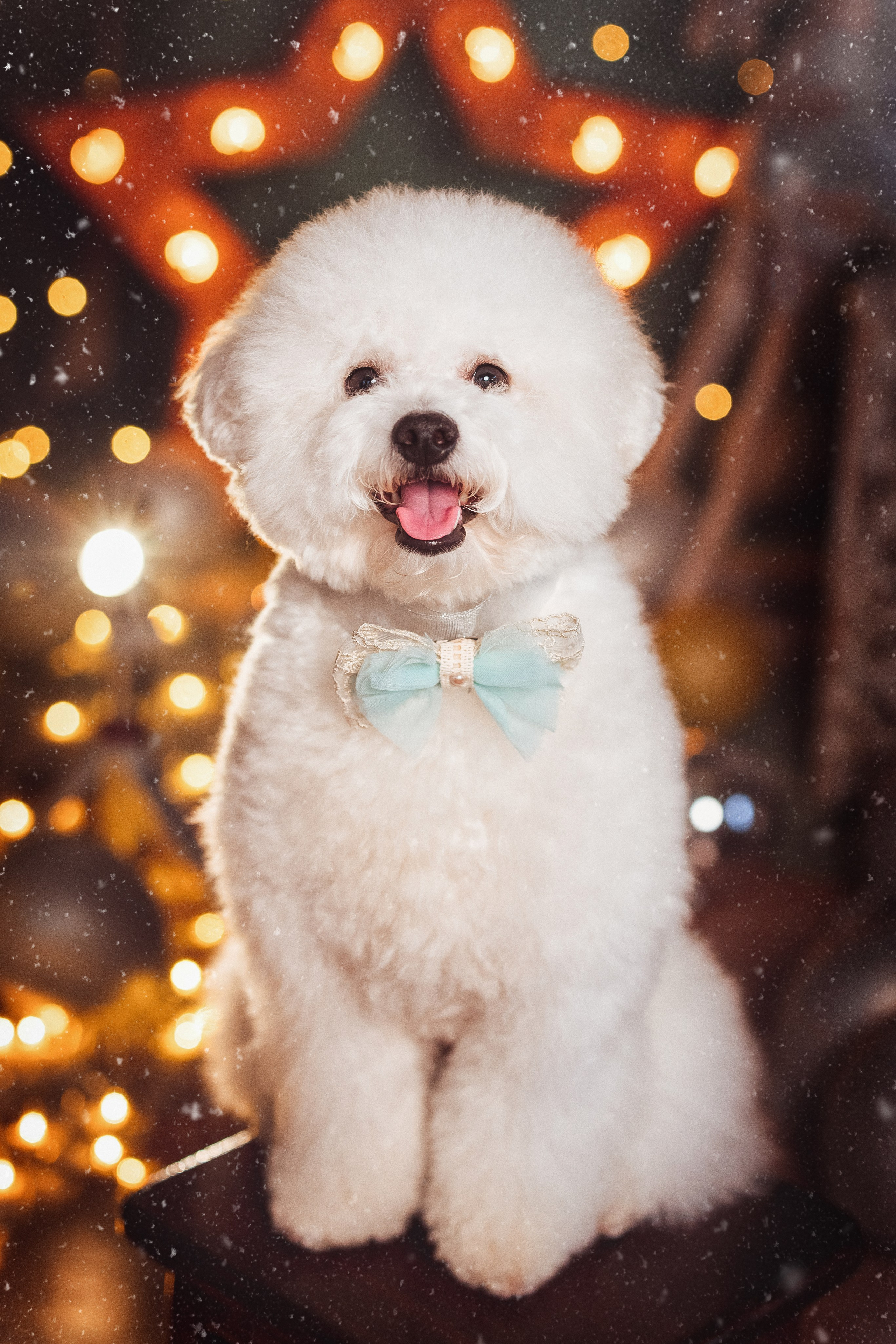 ТЕАТР. Семейный и детский фотограф в Краснодаре Анна Трашкова