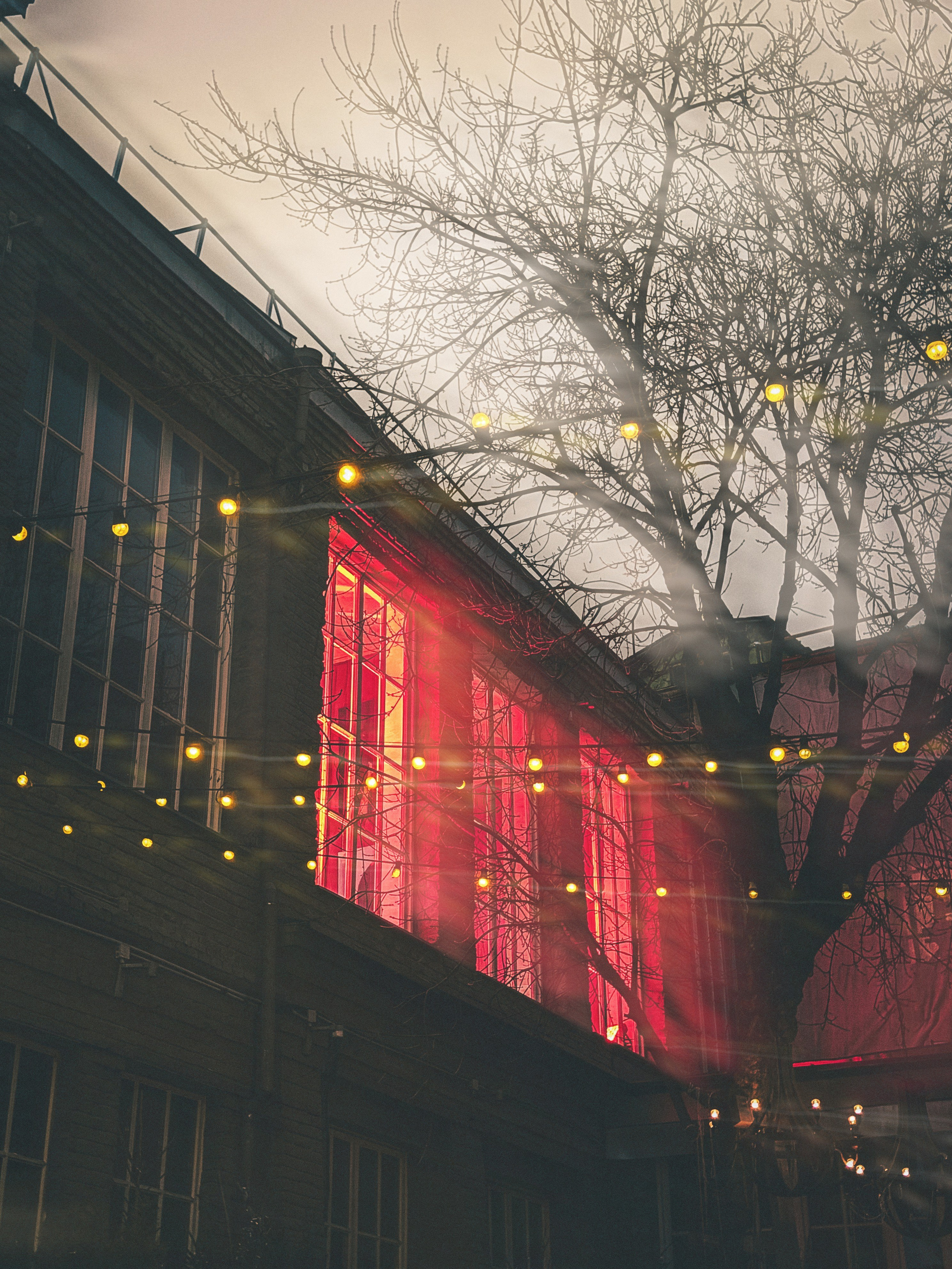 Ночная Москва. Александра Мельниченко/ Бегающий фотограф