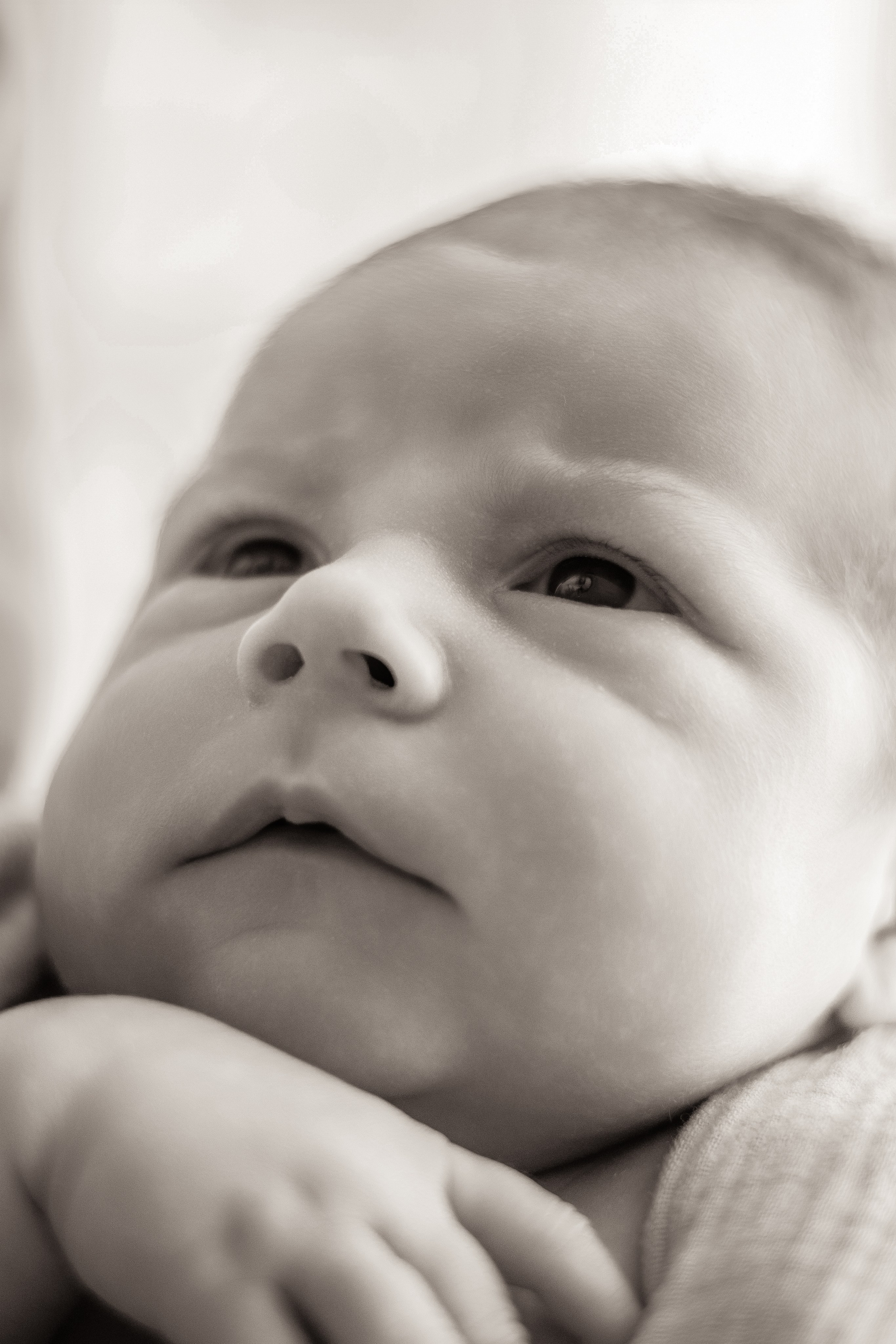 Newborn. Семейный фотограф в Озёрах и Коломне