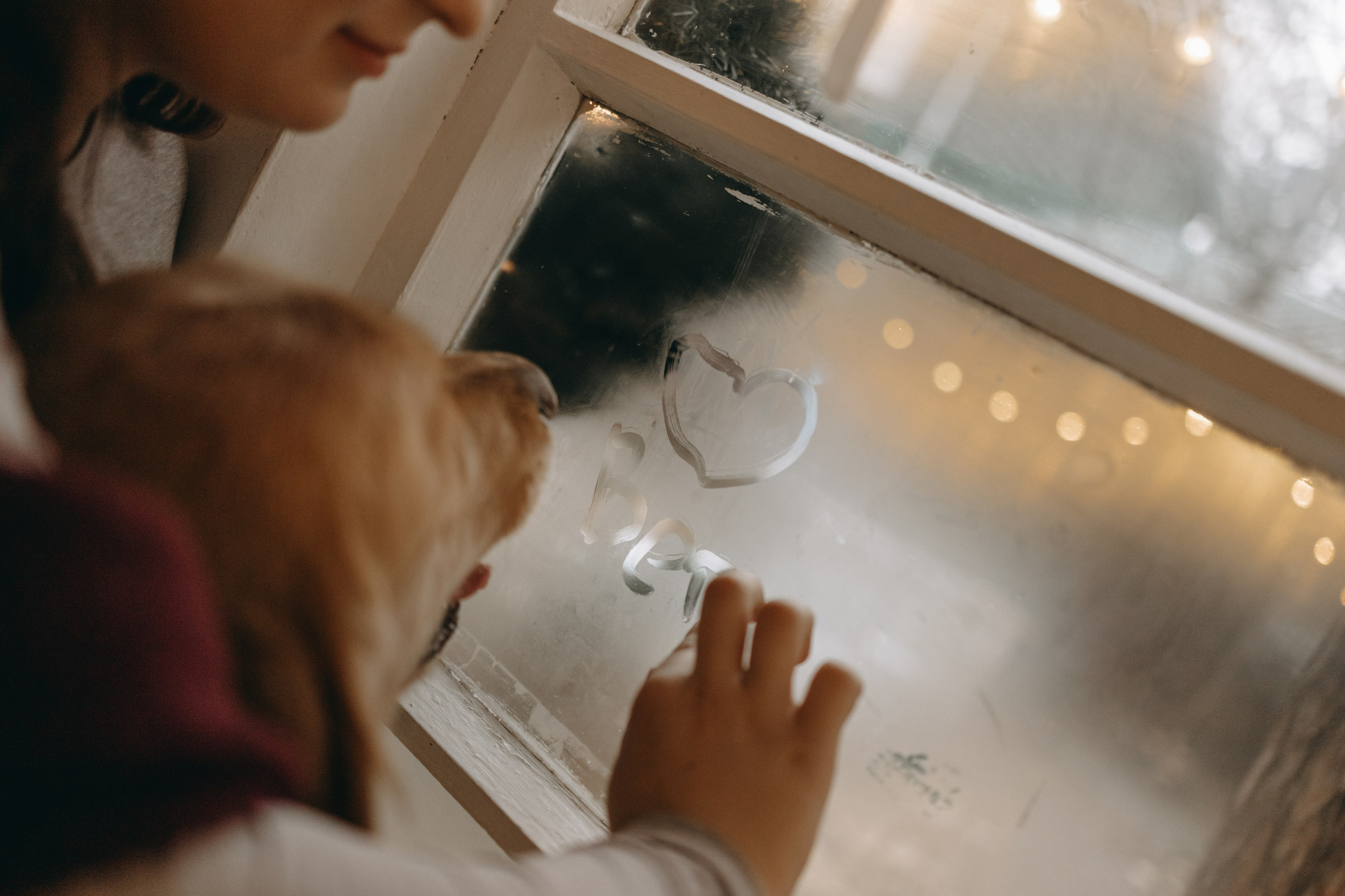 Вегас, Веник и их семья. Фотограф — Анималист | Санкт-Петербург