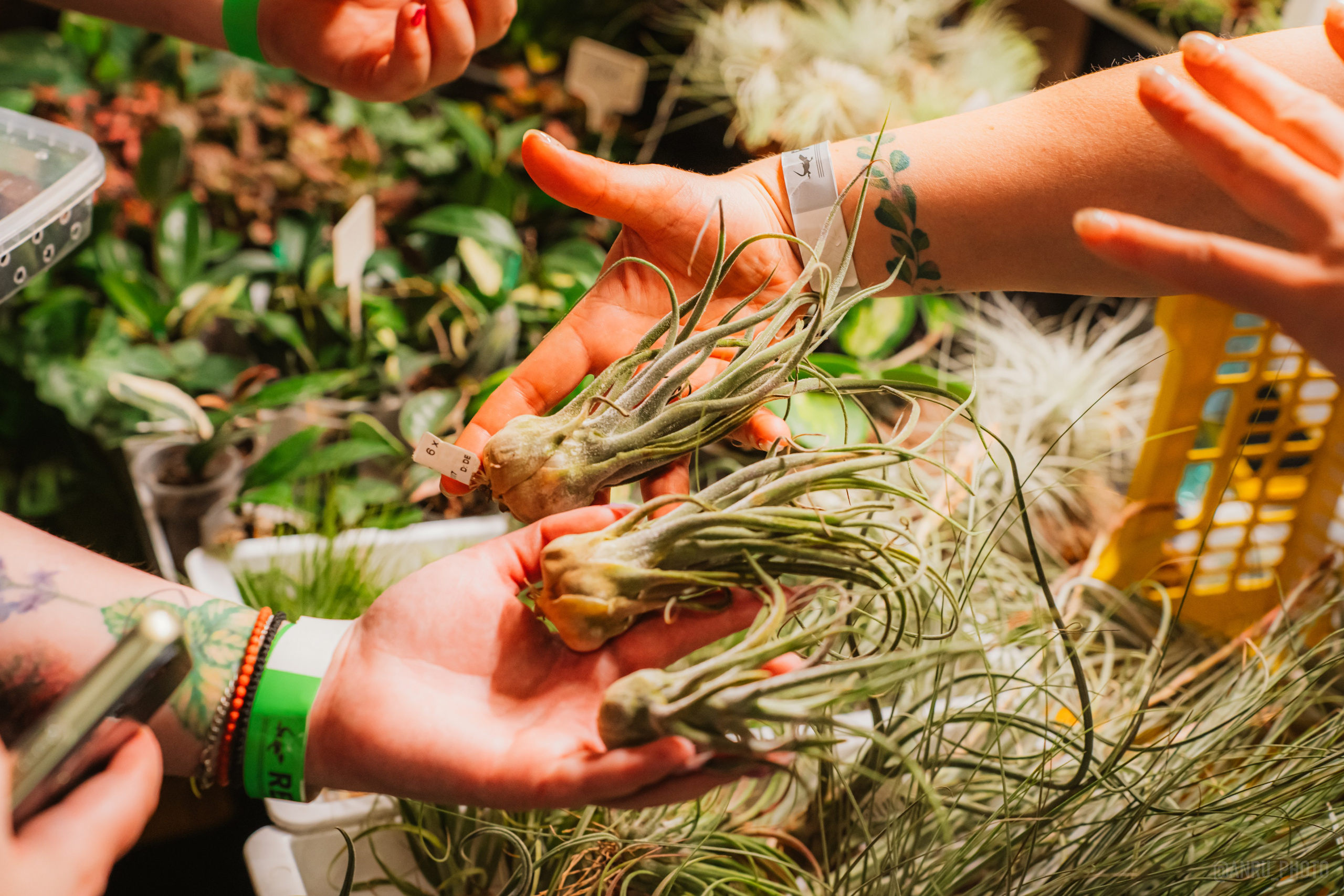 Рептилиум. Репортажный фотограф Анастасия Рубцова