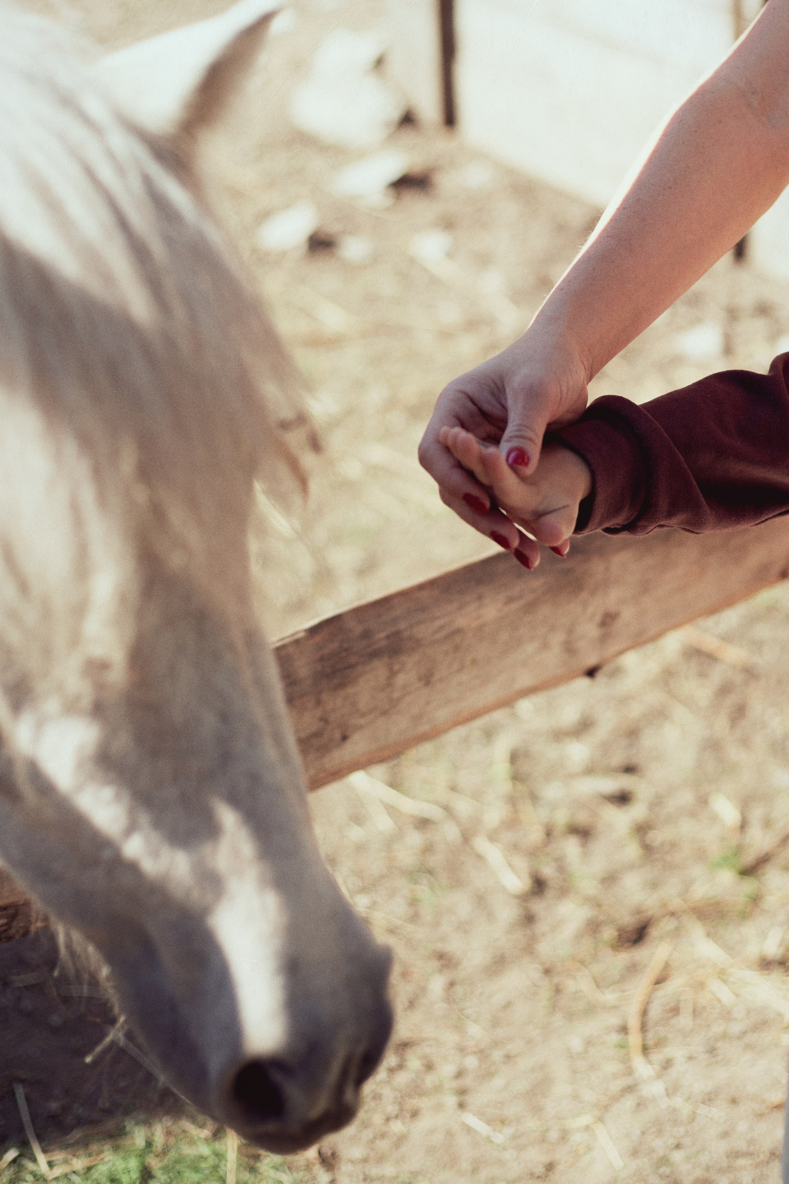 Зоопарк. Фотограф Ионова Анастасия, г Владивосток