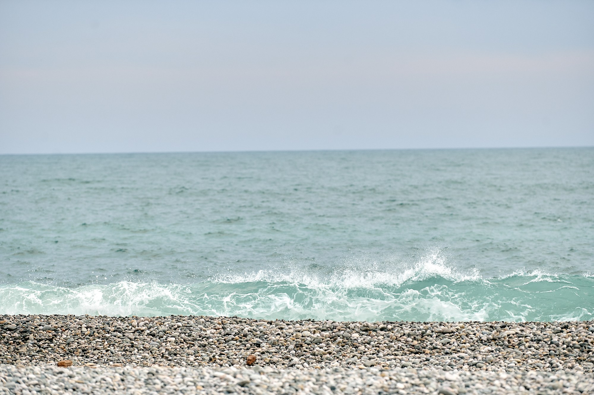 Пицунда, Абхазия. Декабрь 2024. Фотографии отовсюду и обо всем