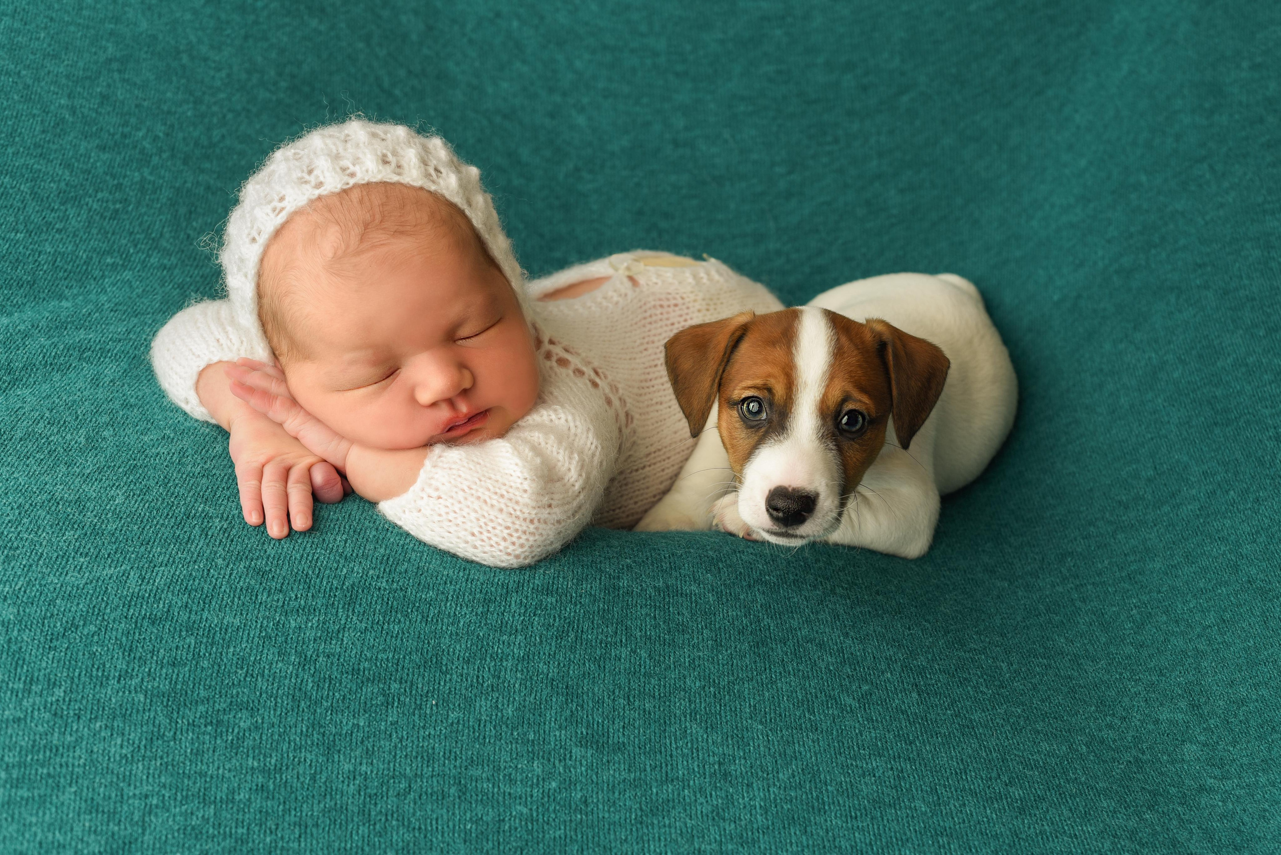 Тая. Главная