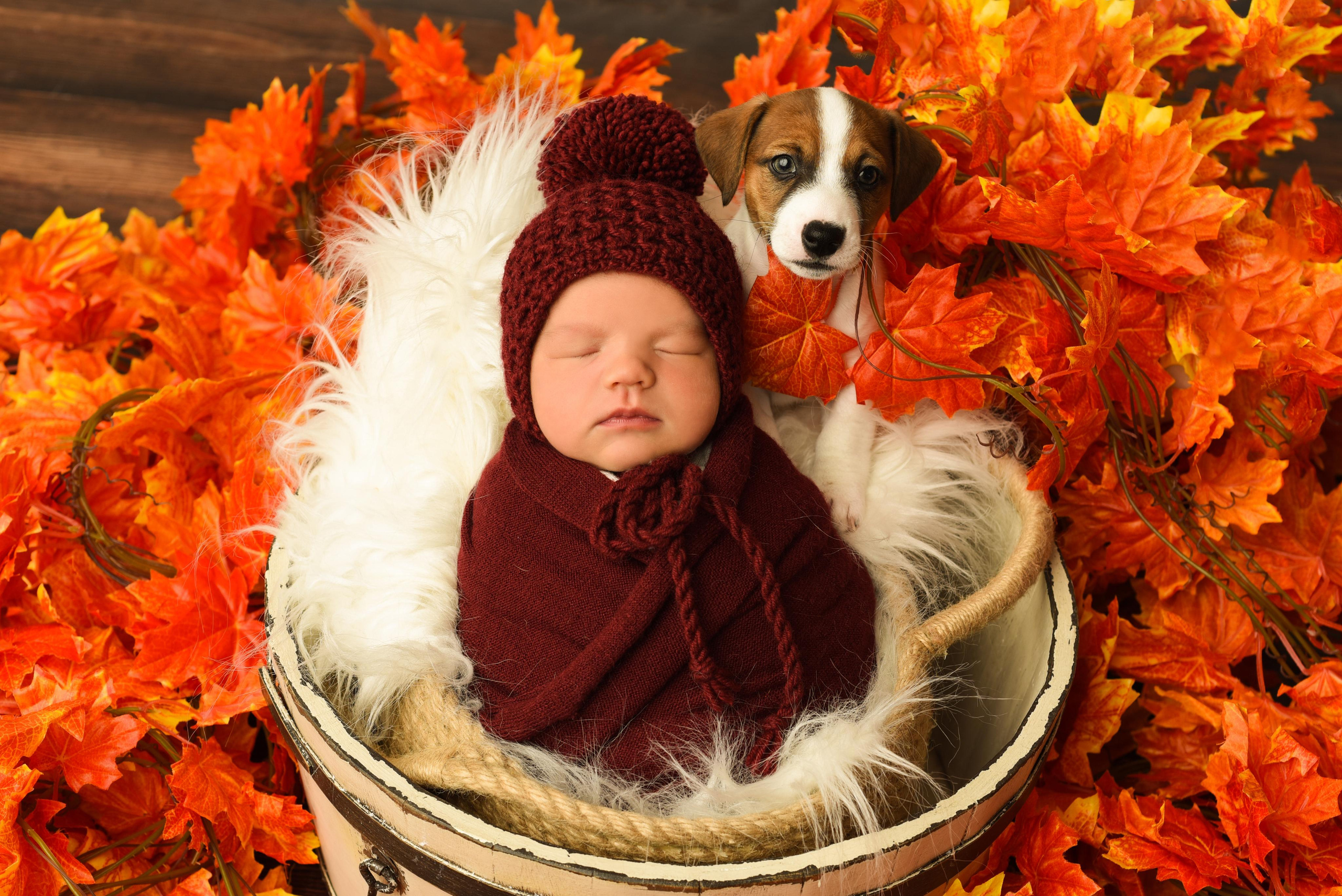 Тая. Главная