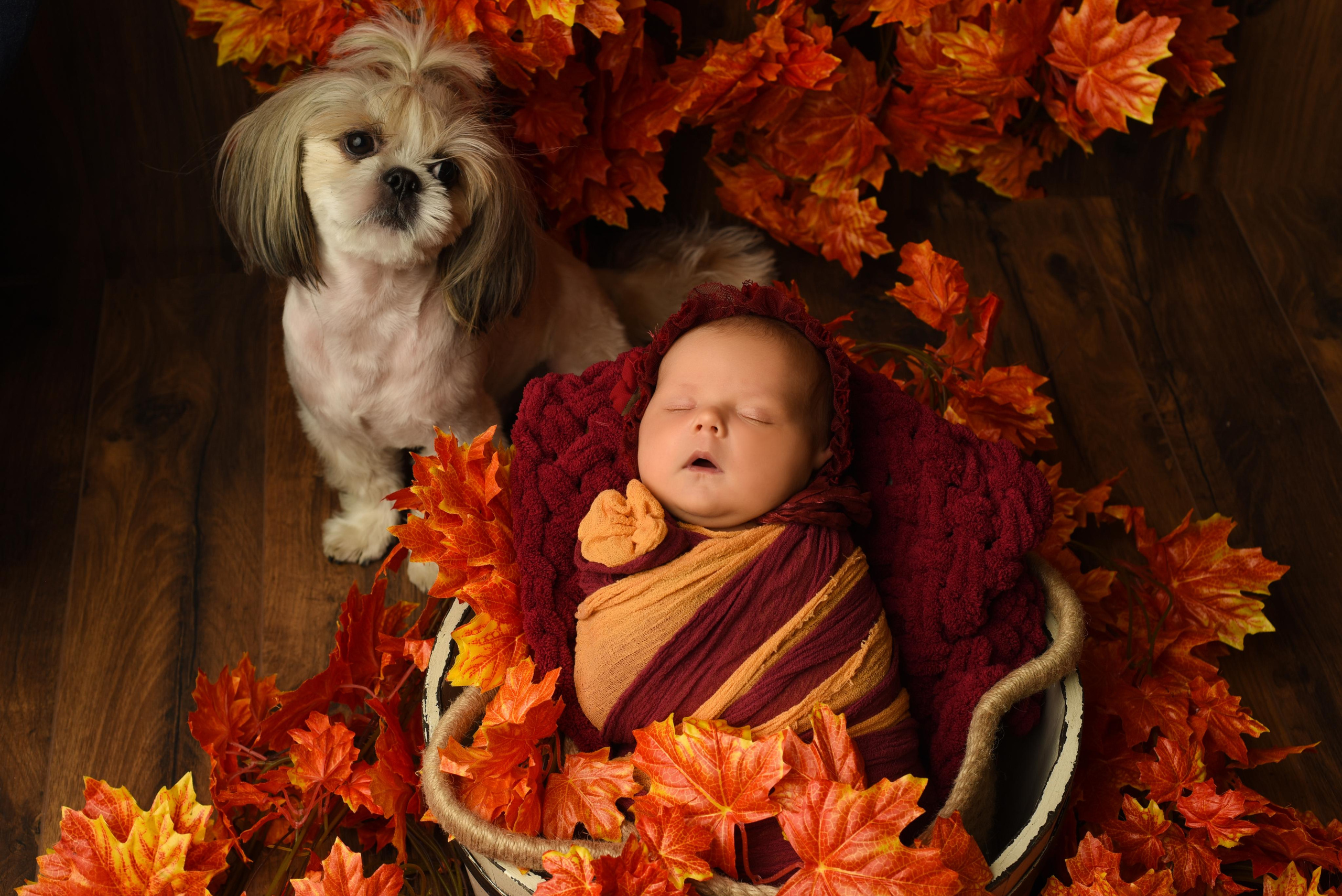 Ульяна. Главная