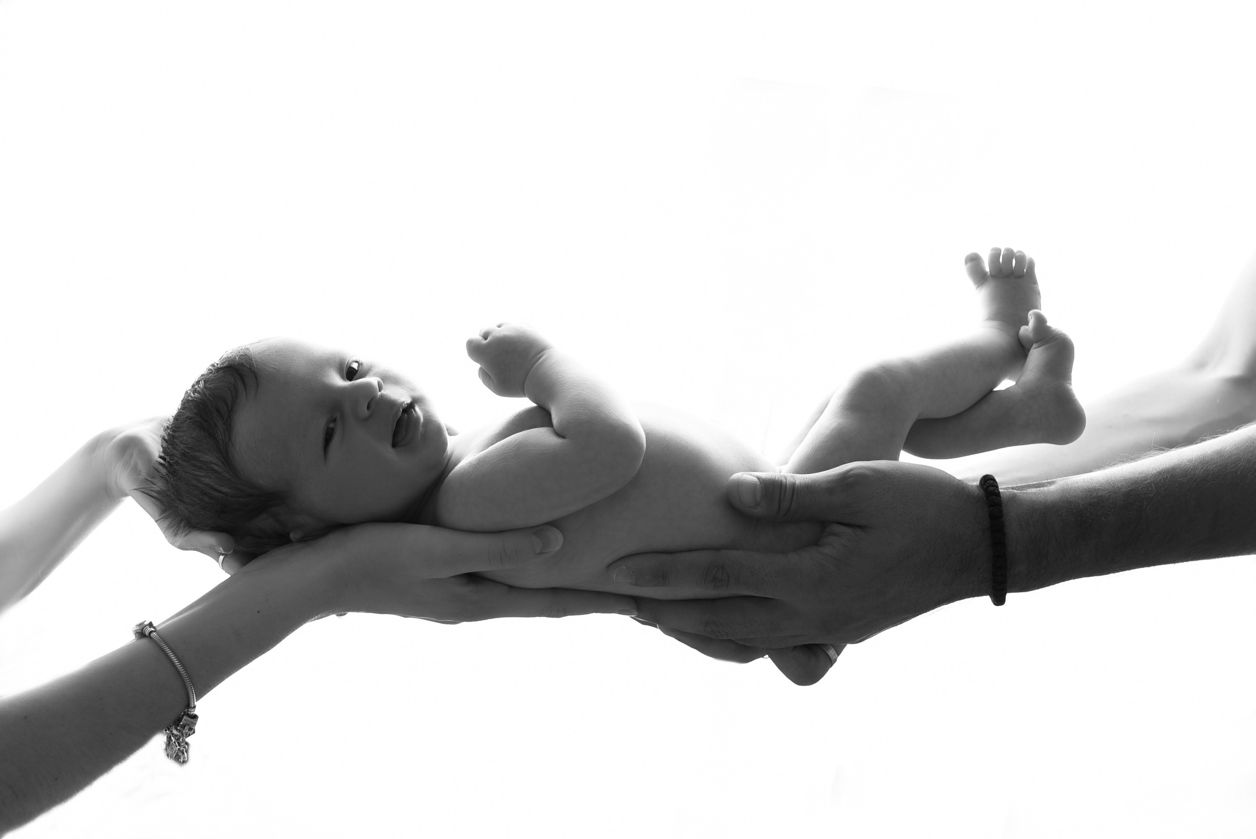 Давидик. Главная