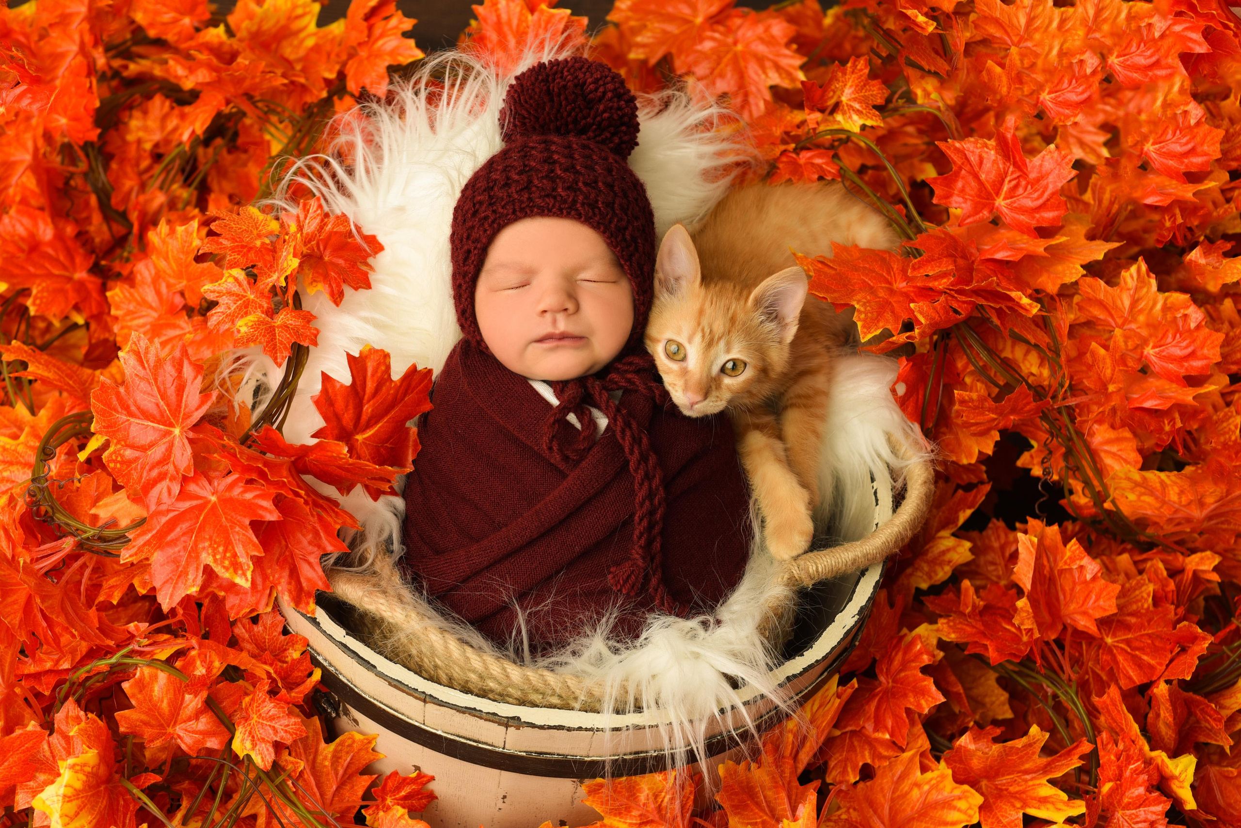 Тая. Главная