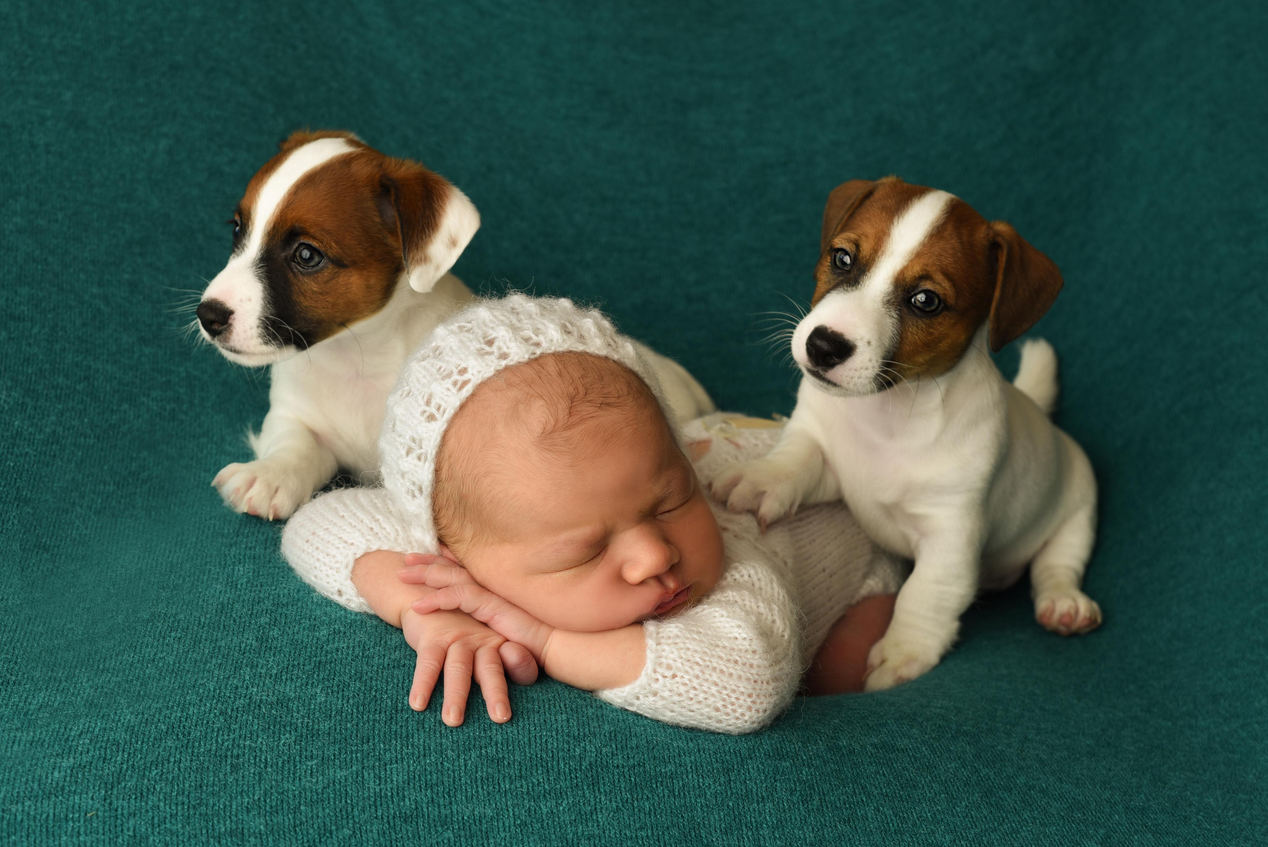 Тая. Главная