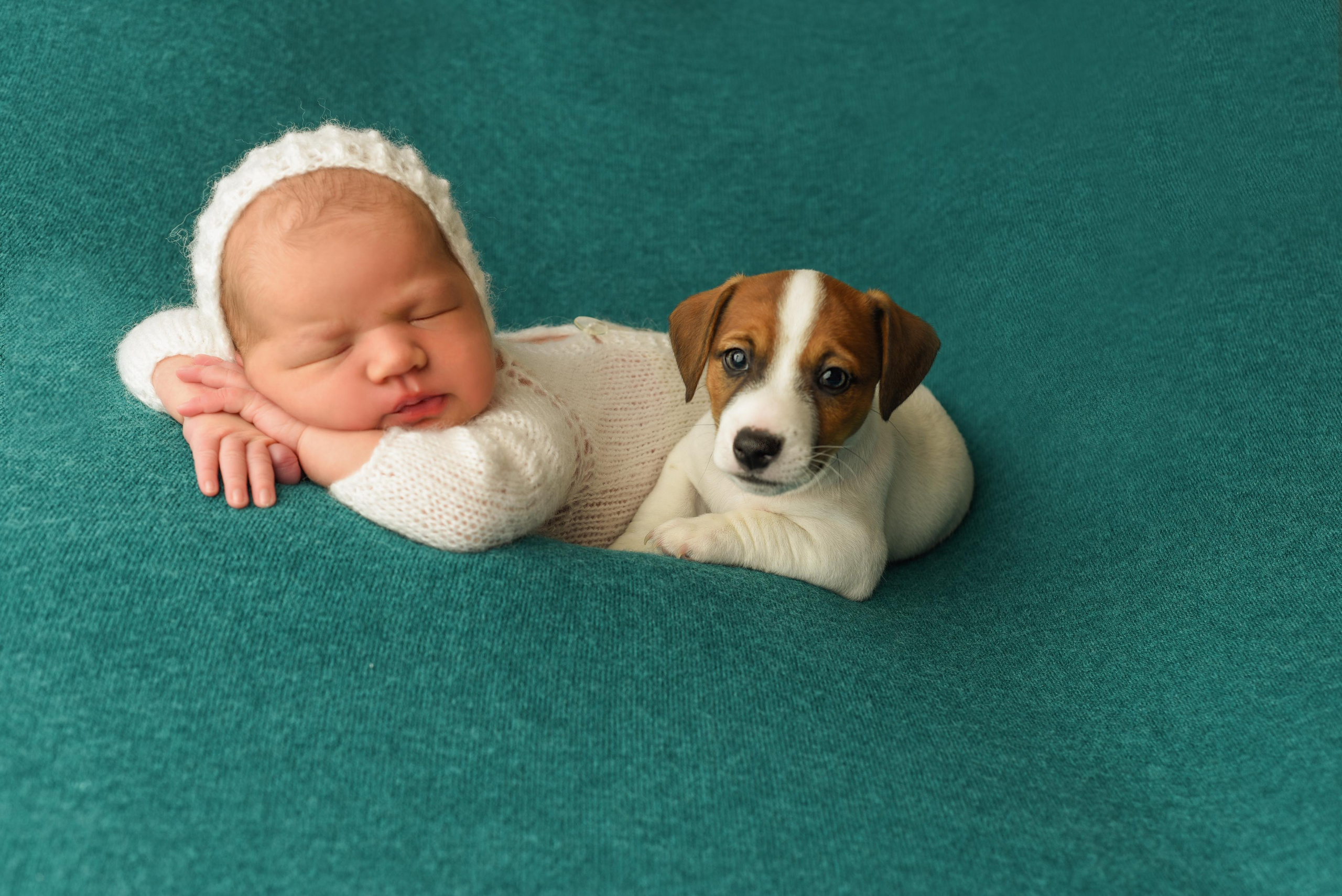 Тая. Главная