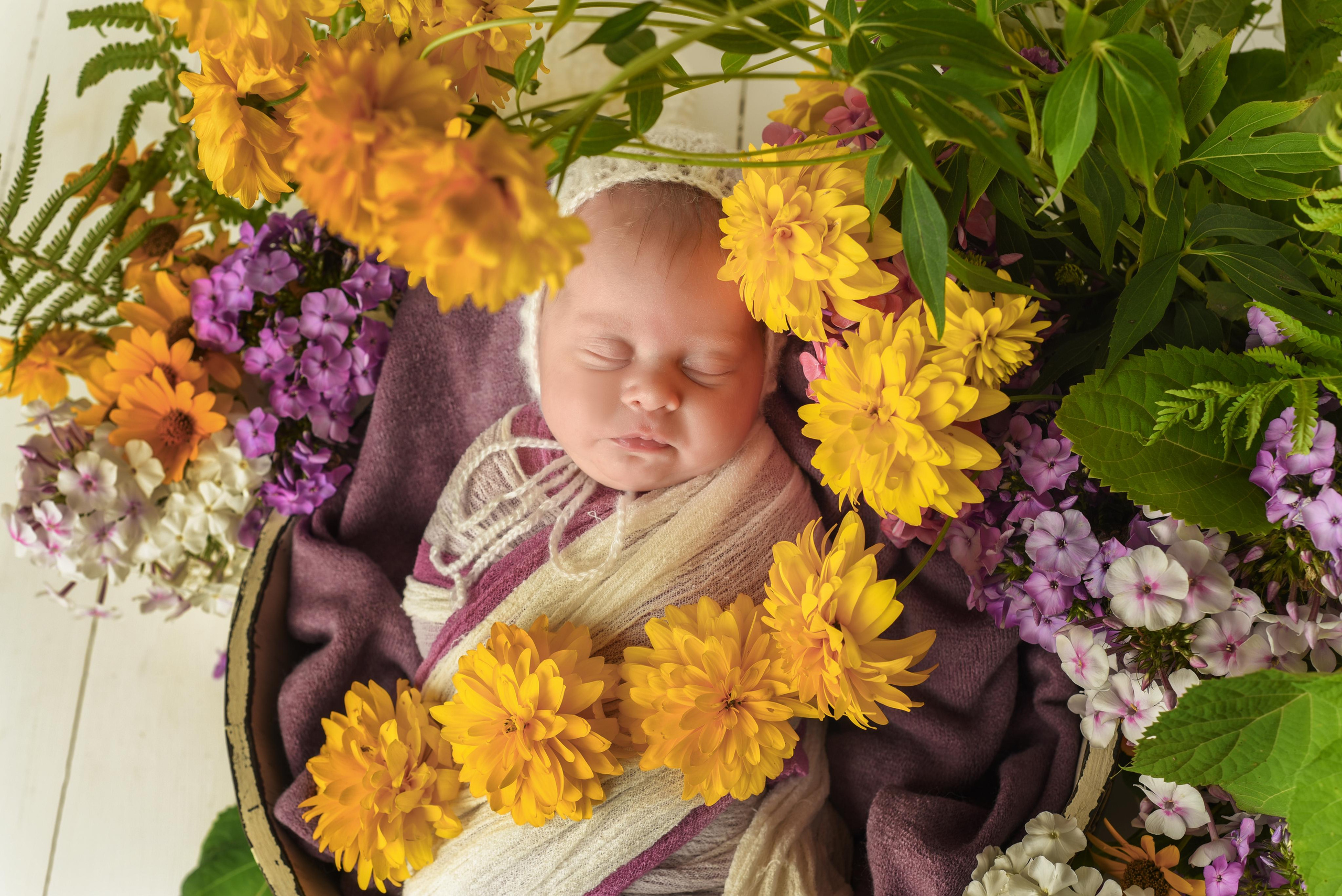 Мишель. Главная