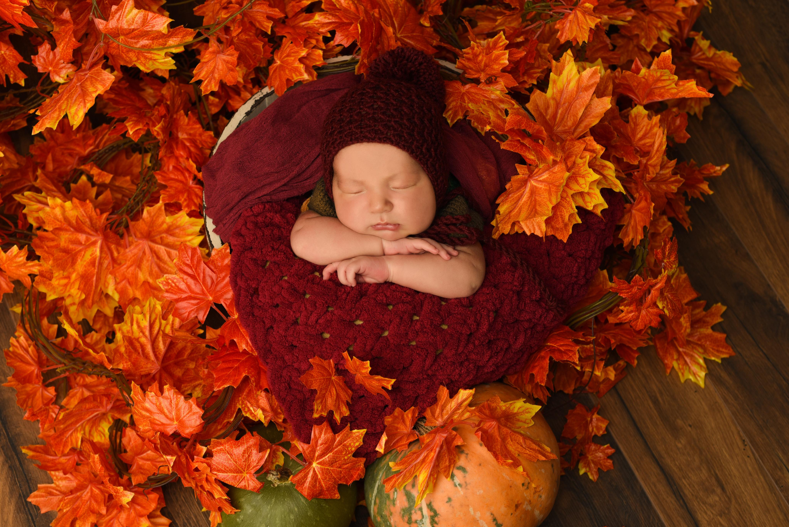 Малыш. Главная