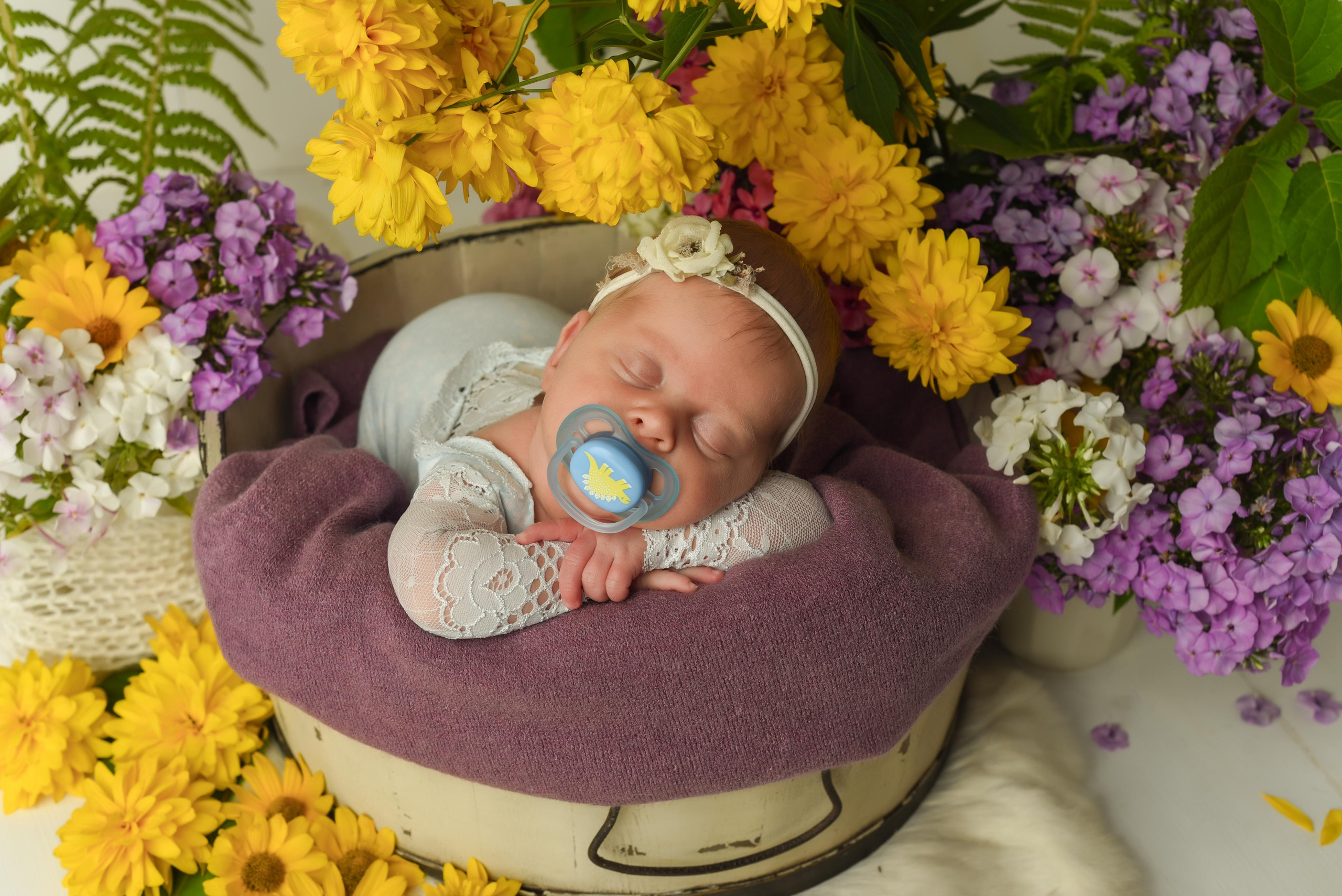 Мишель. Главная