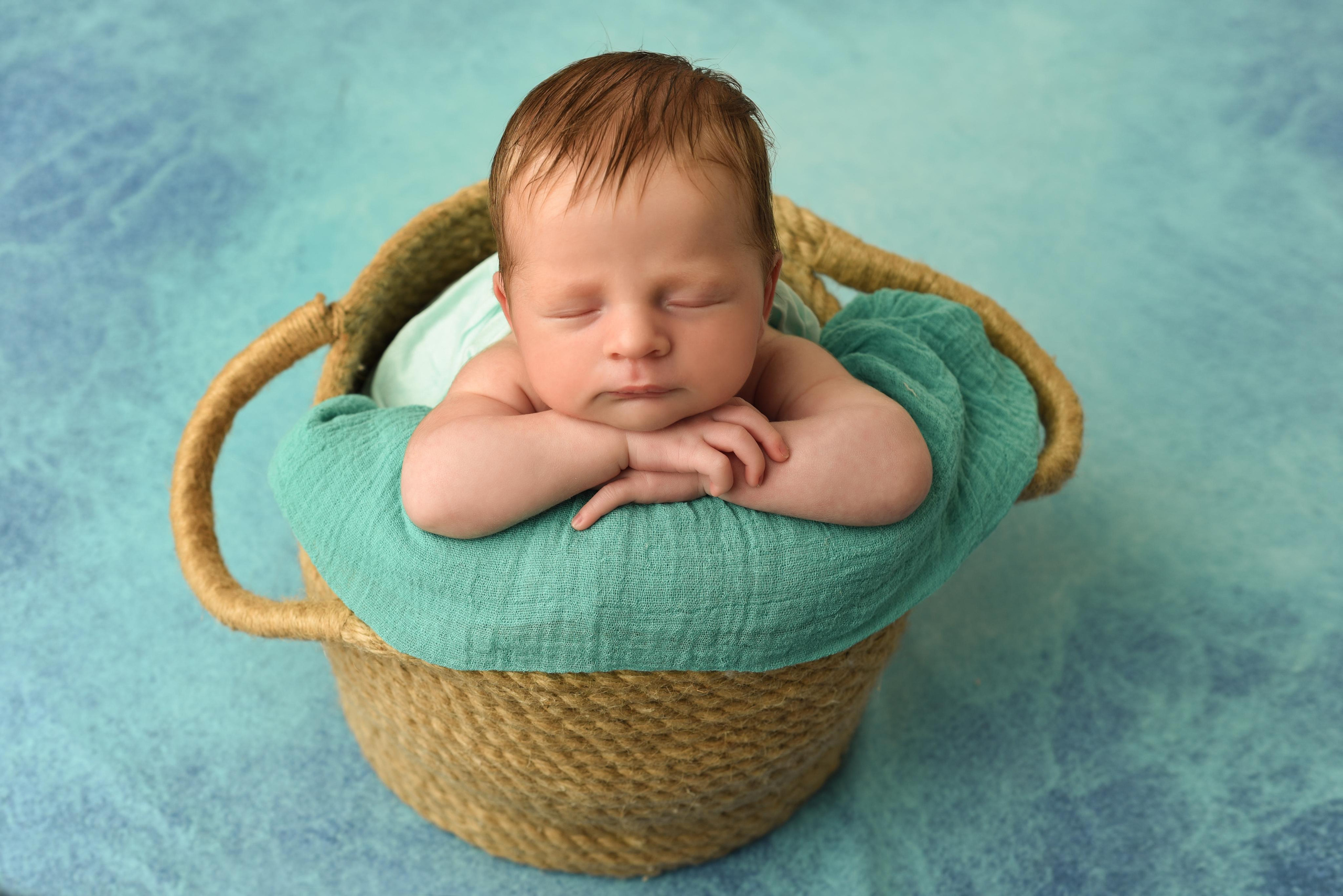 Давидик. Главная