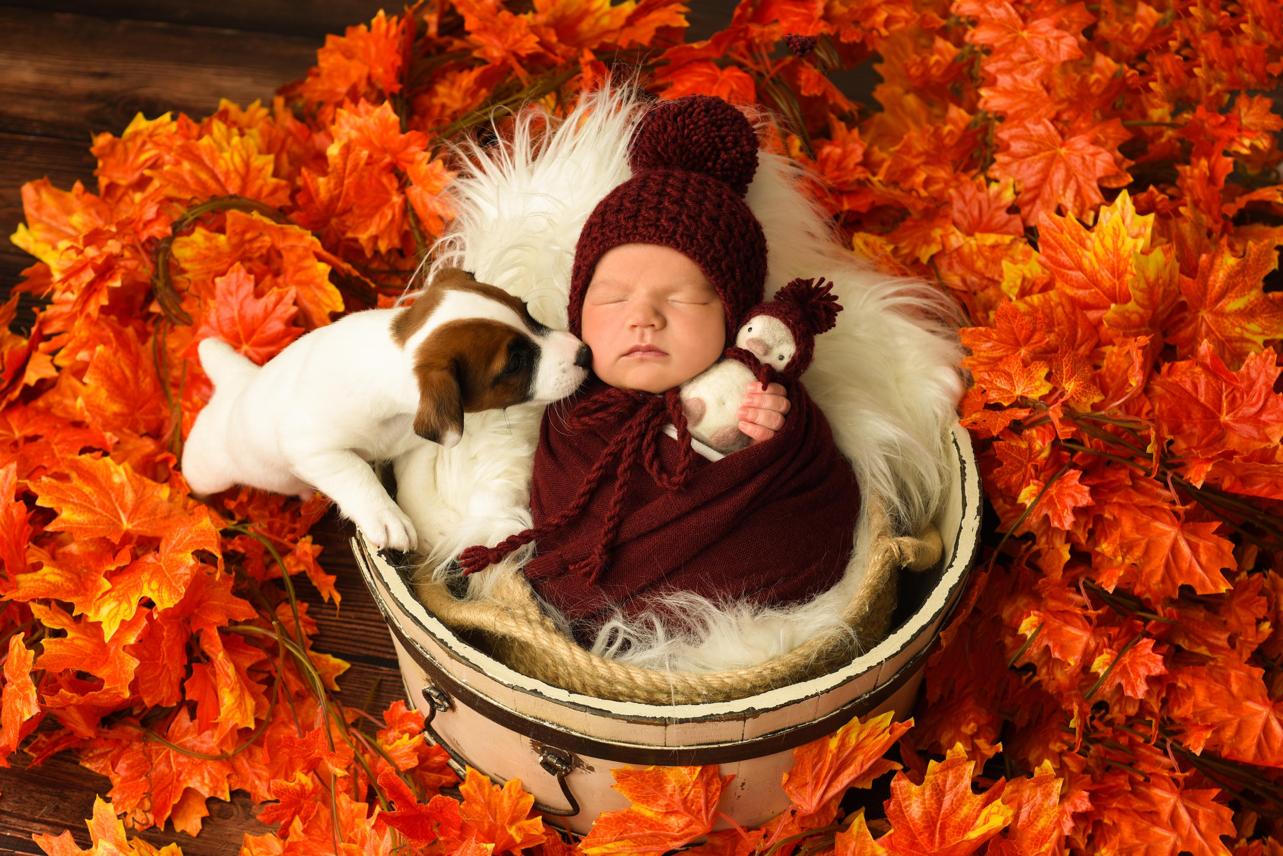 Тая. Главная