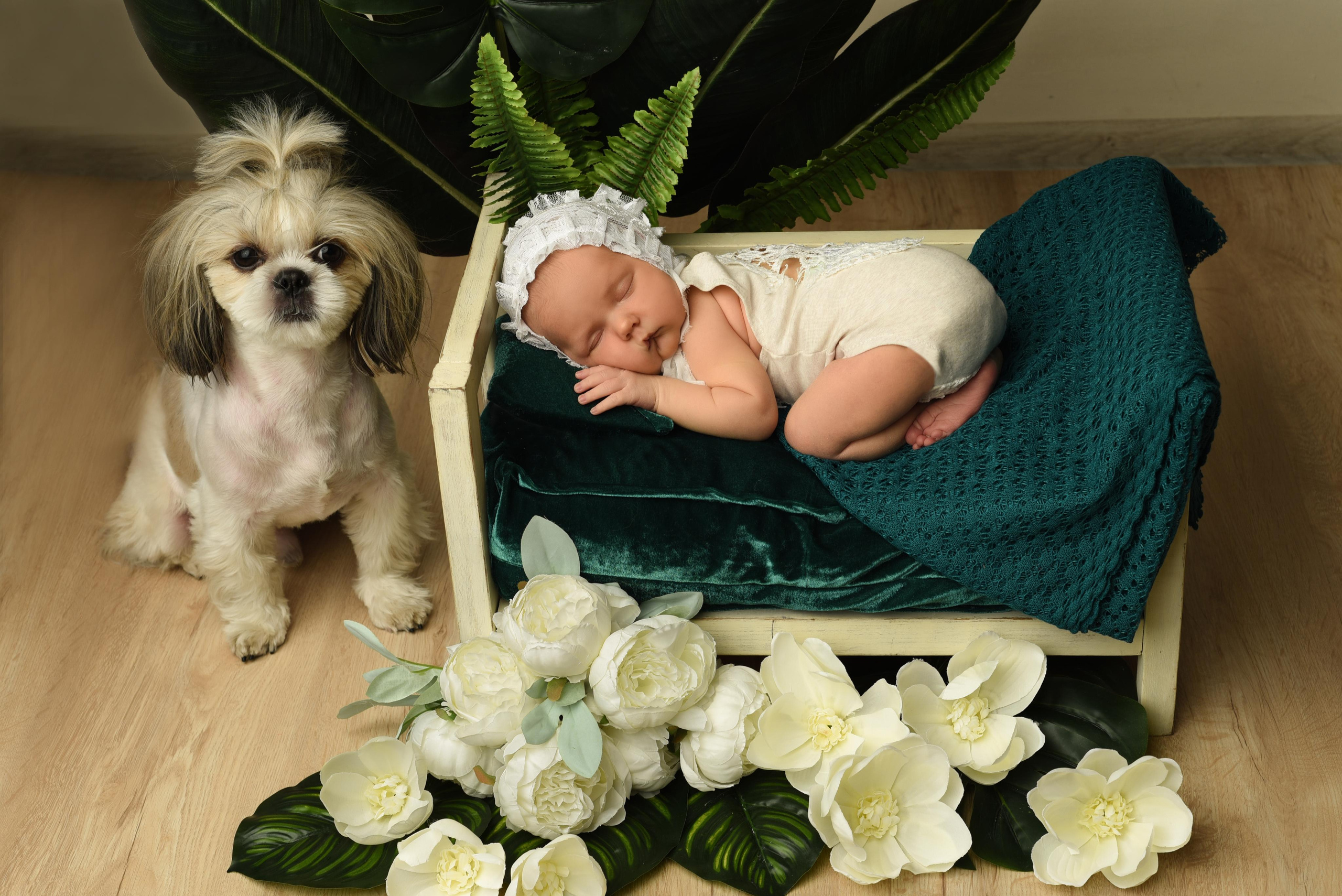 Ульяна. Главная