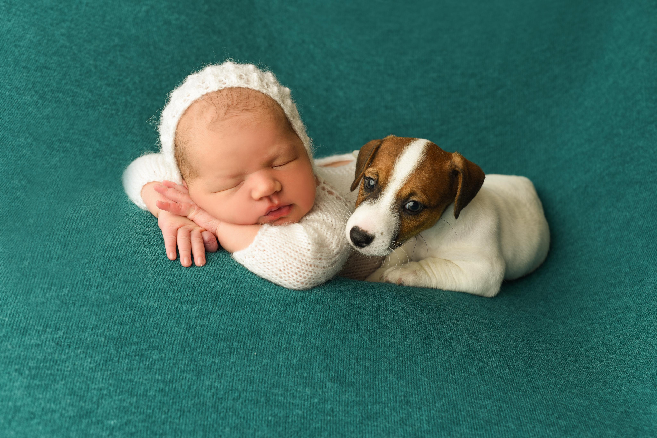 Тая. Главная