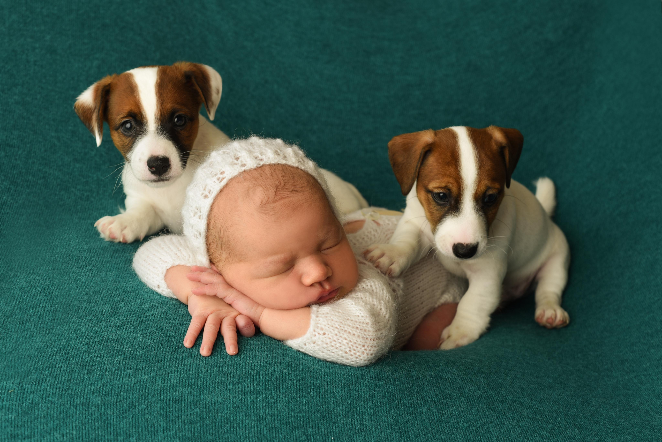 Тая. Главная