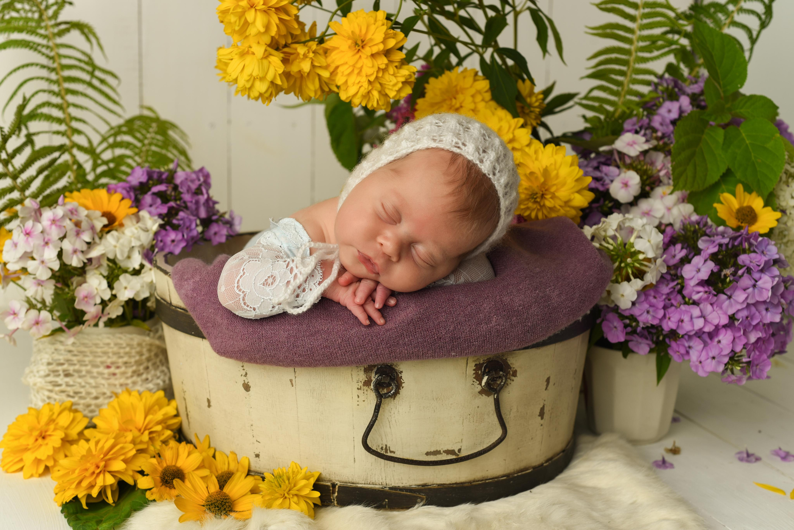 Мишель. Главная