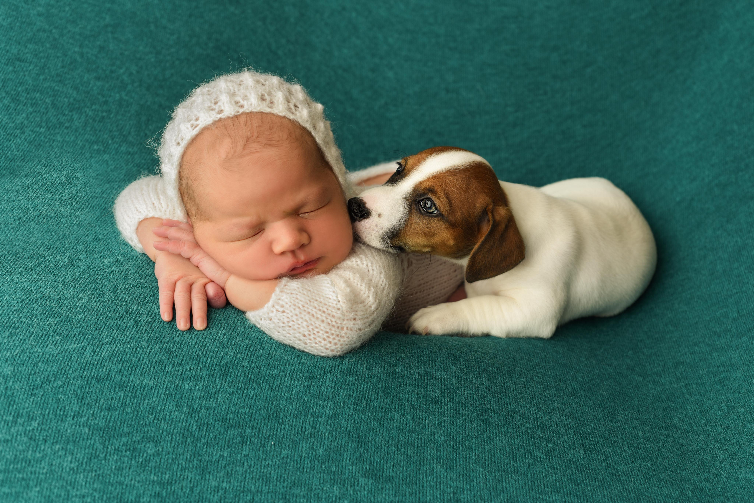 Тая. Главная