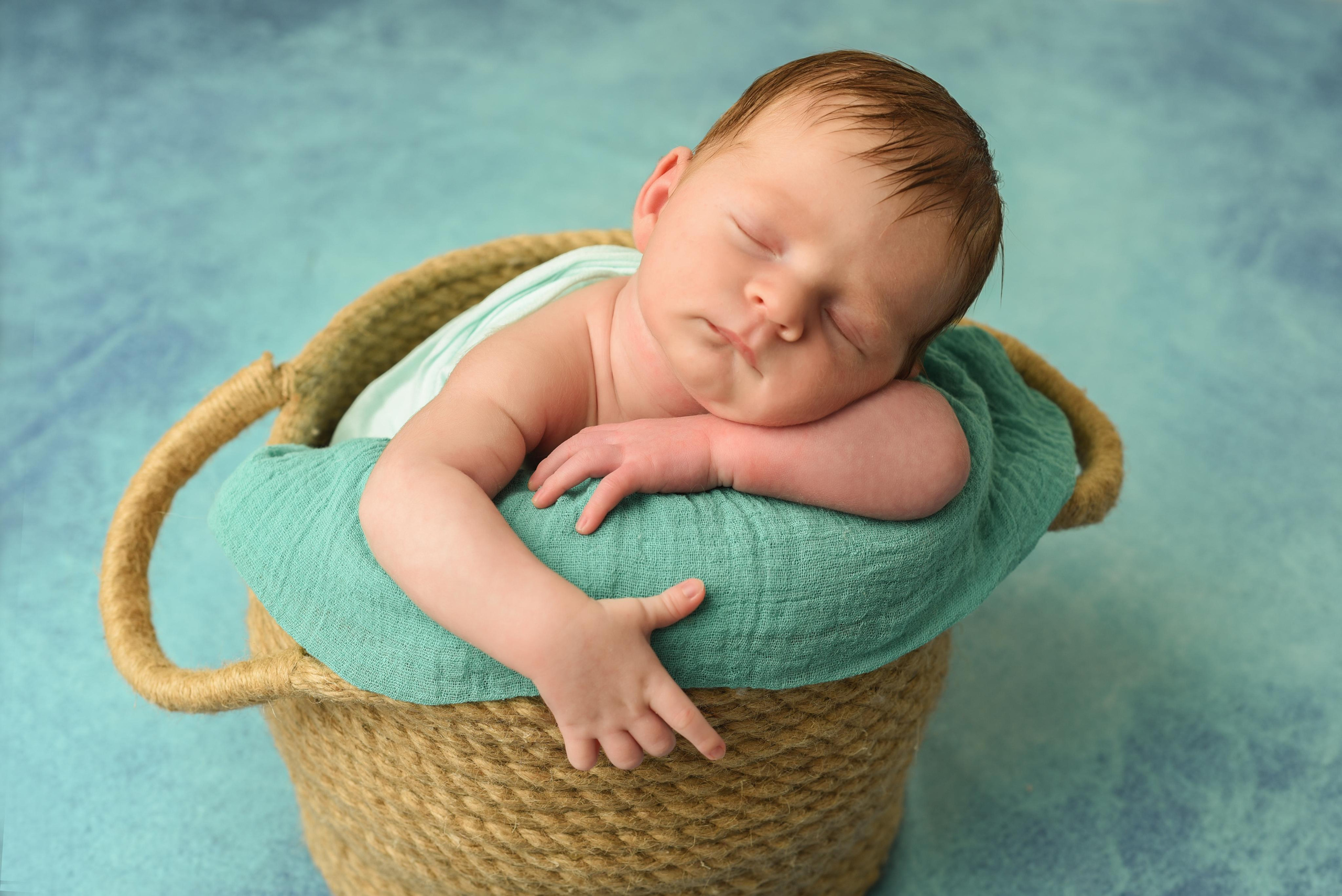 Давидик. Главная