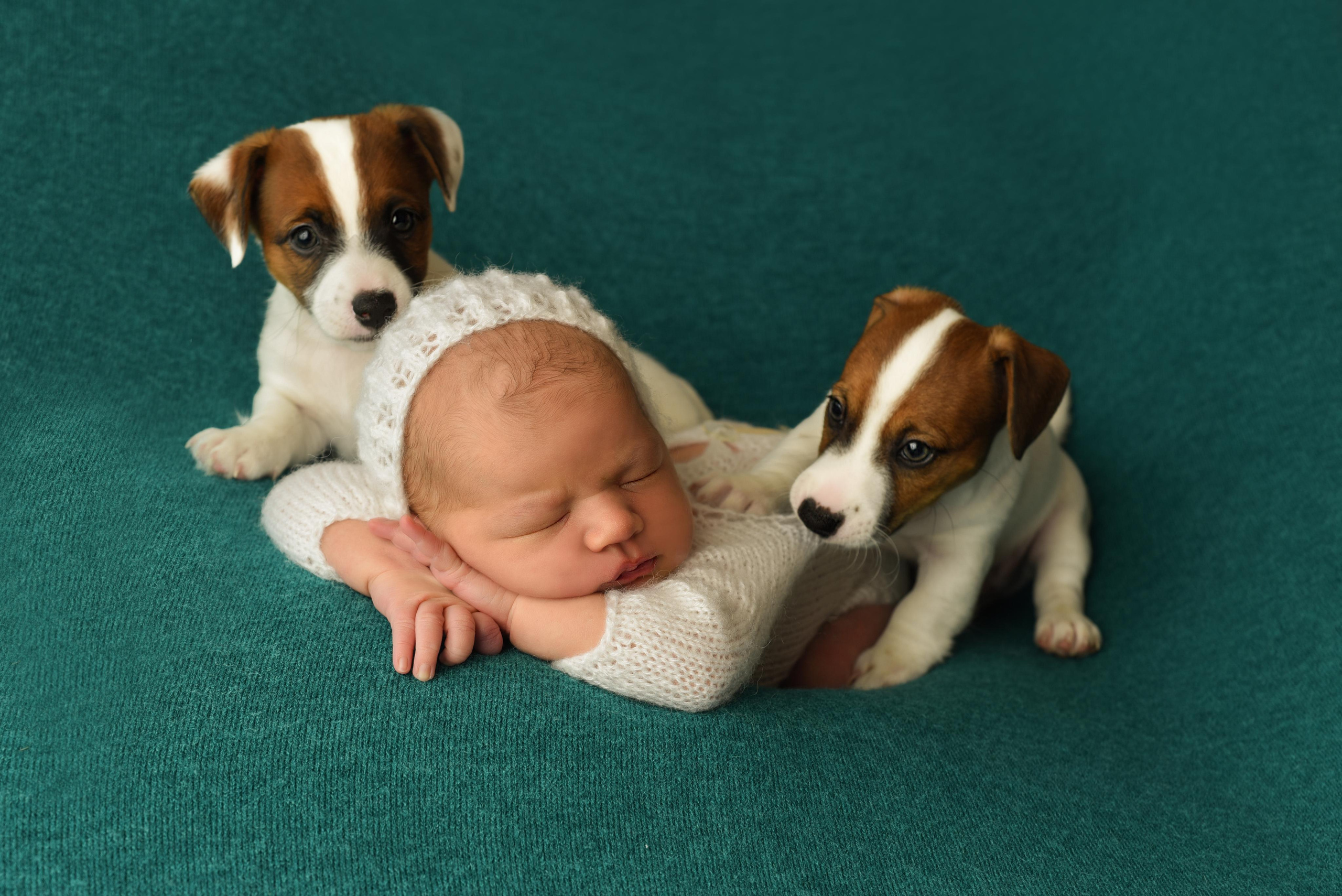 Тая. Главная