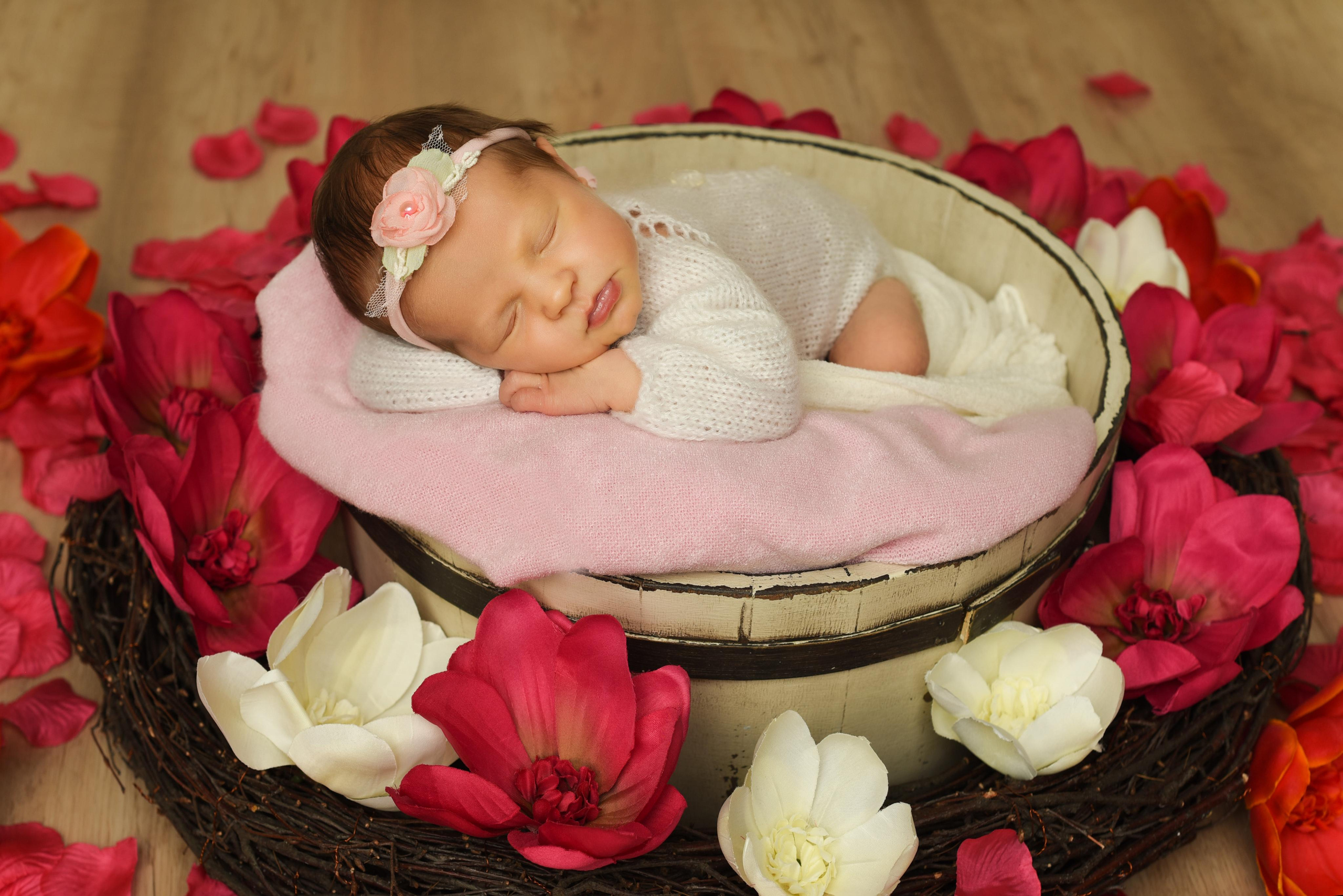 Диана. Главная