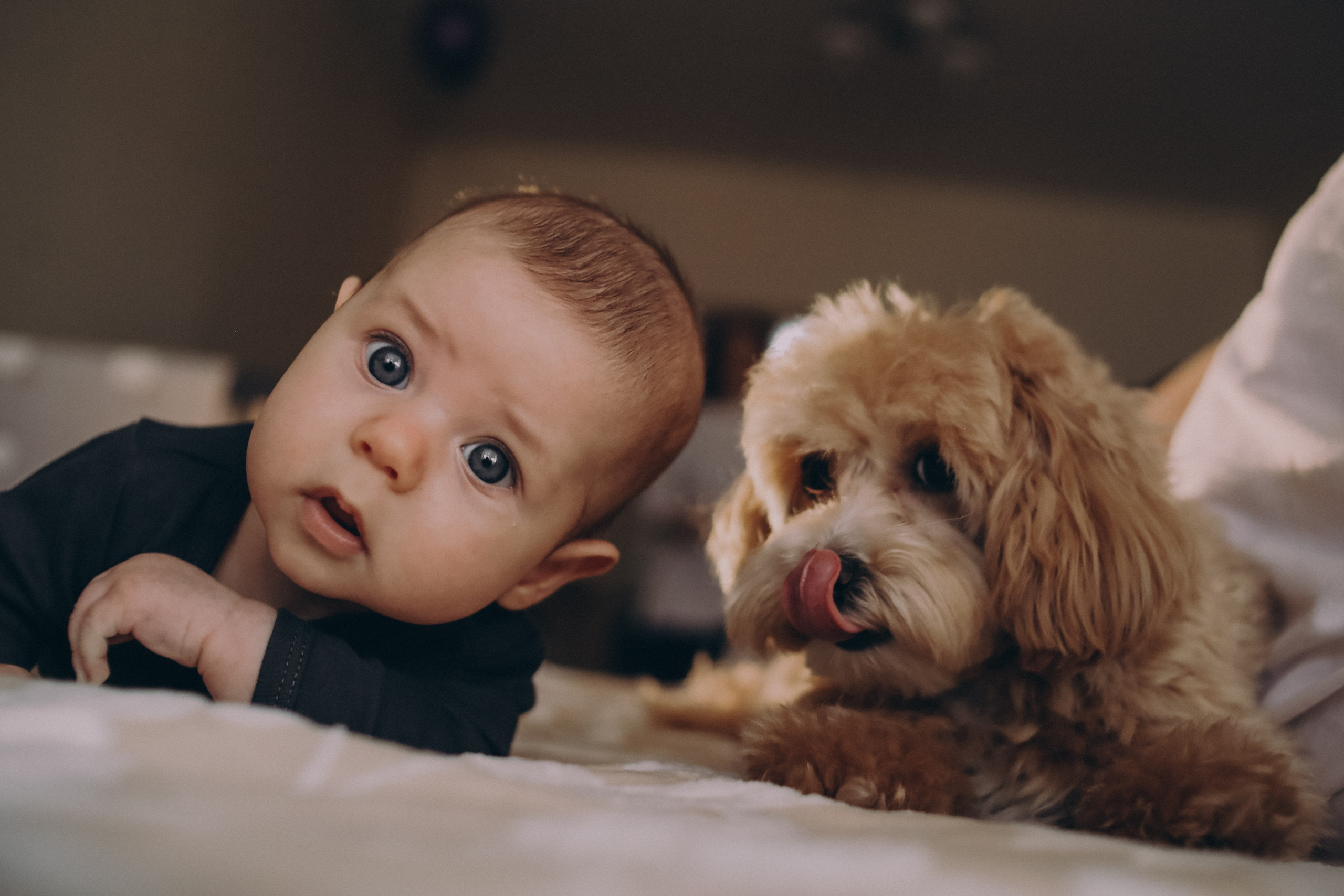 Мама, папа, я и 2 хвоста. Фотограф Новый Уренгой I Ньюборн I Фотограф материнства I ЯНАО