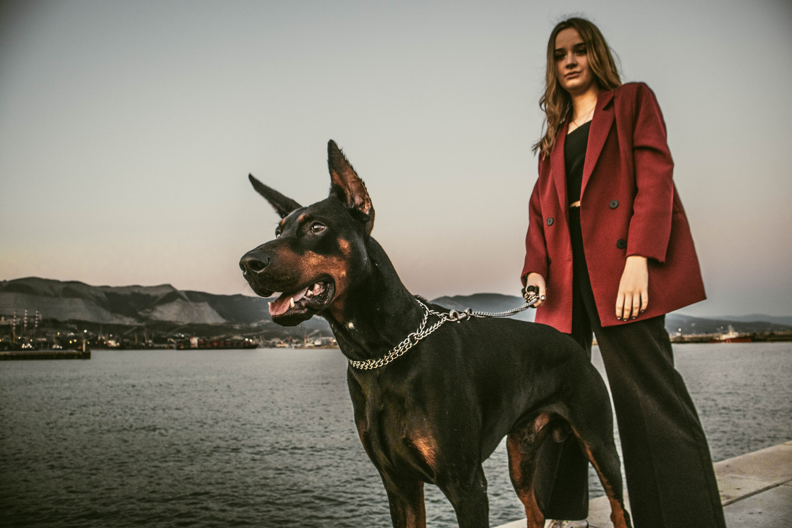 «Жизнь в ритме шага: пара с доберманом». Уличный фотограф Города N