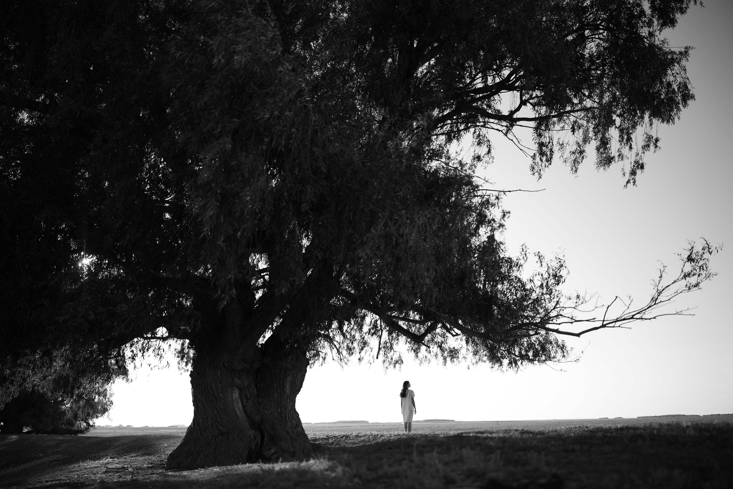 София. Свадебный фотограф Станислав Стиви