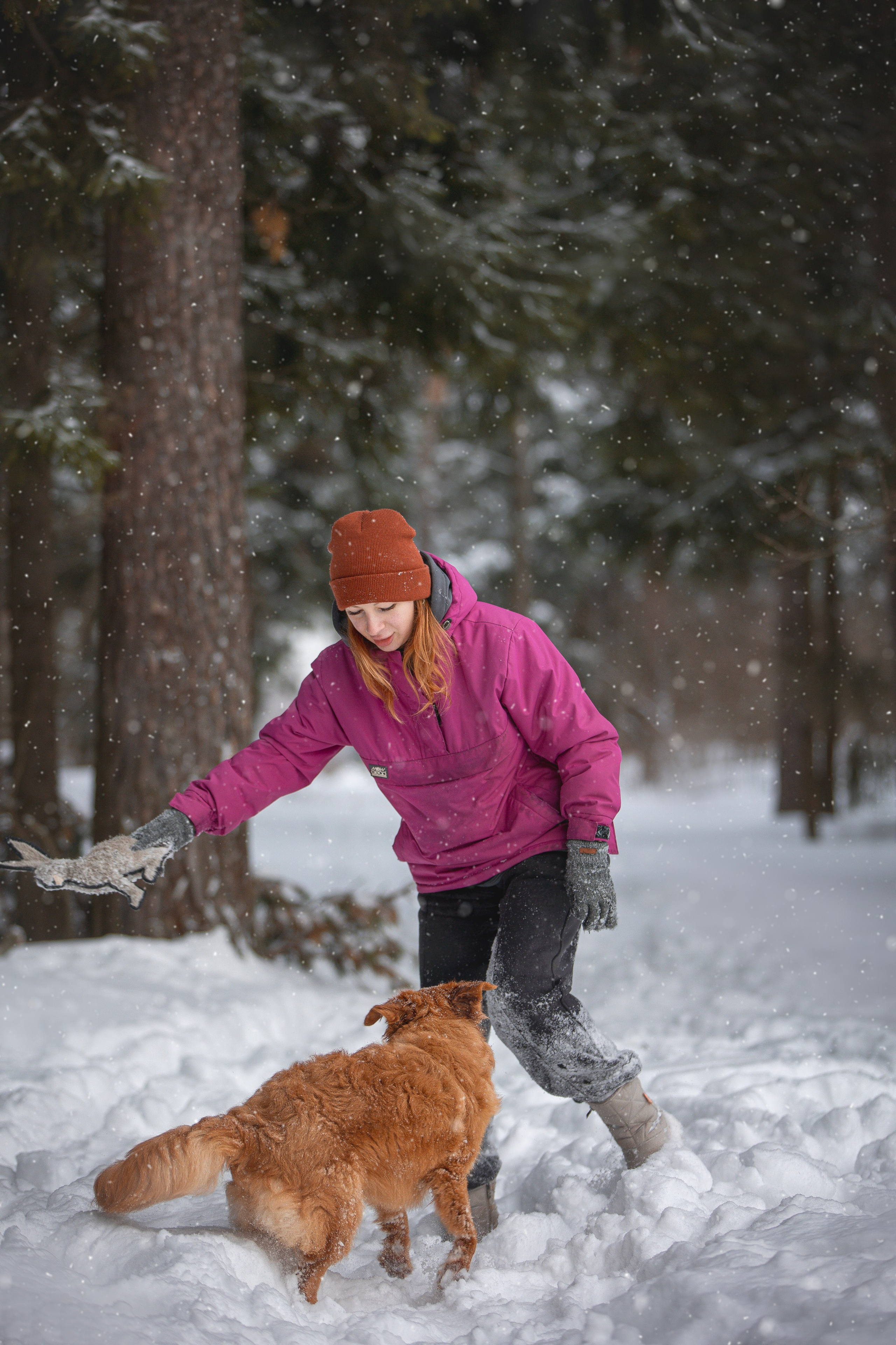 Руби, Николь, Кирилл и Мила. Фотограф анималист в Москве Майорова Евгения