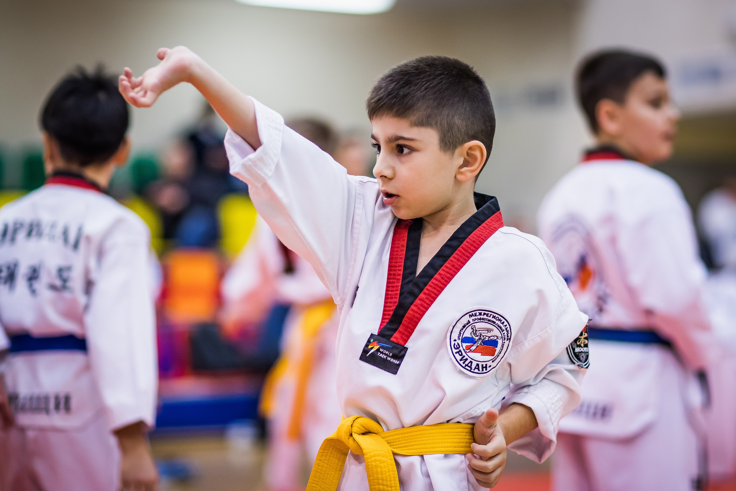 Турнир Федерации детского тхэквондо России по дисциплине ПХУМСЭ. Спортивный фотограф Максим Серегин