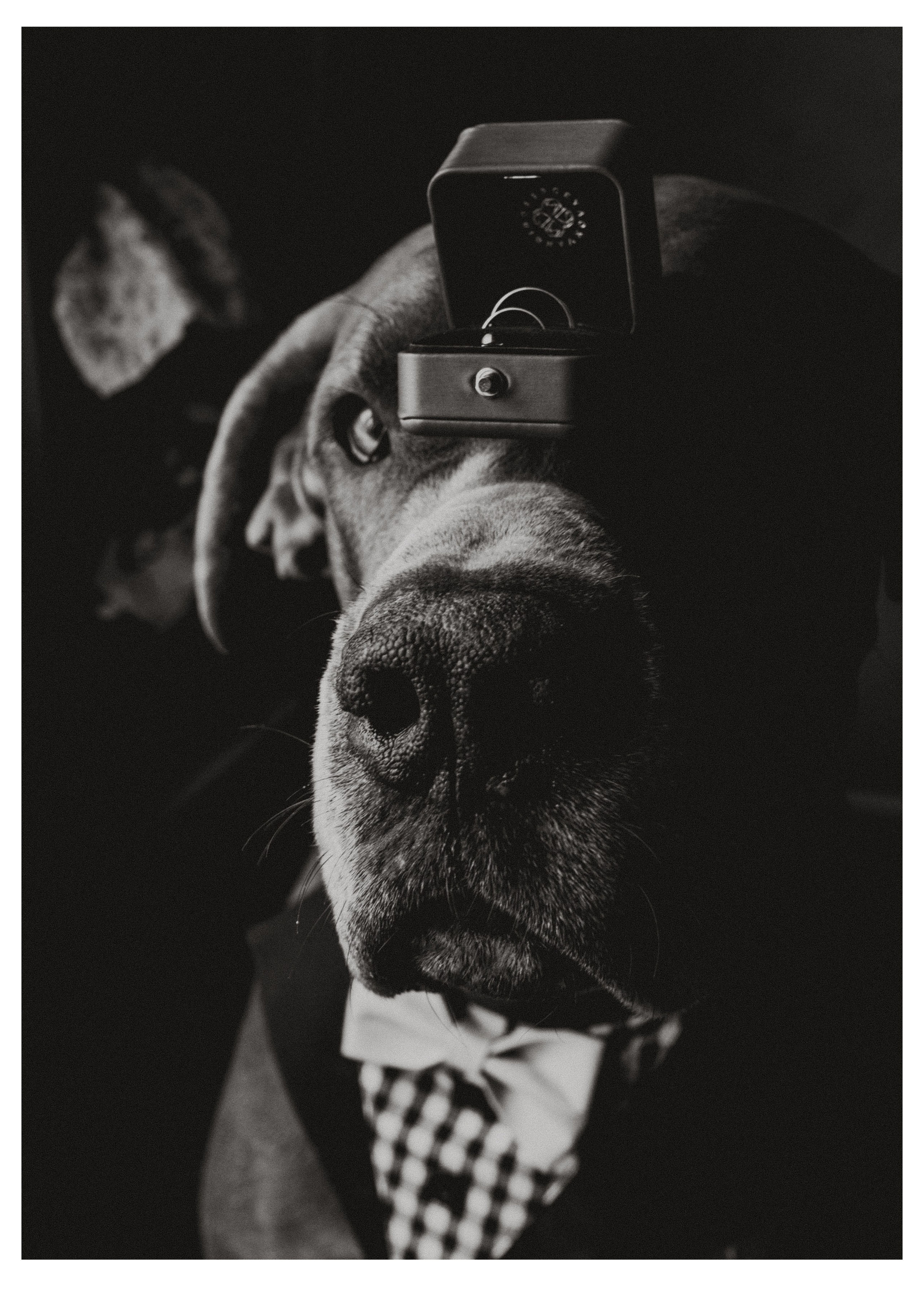 Алёна и Павел. Анастасия Попова — Fashion photographer