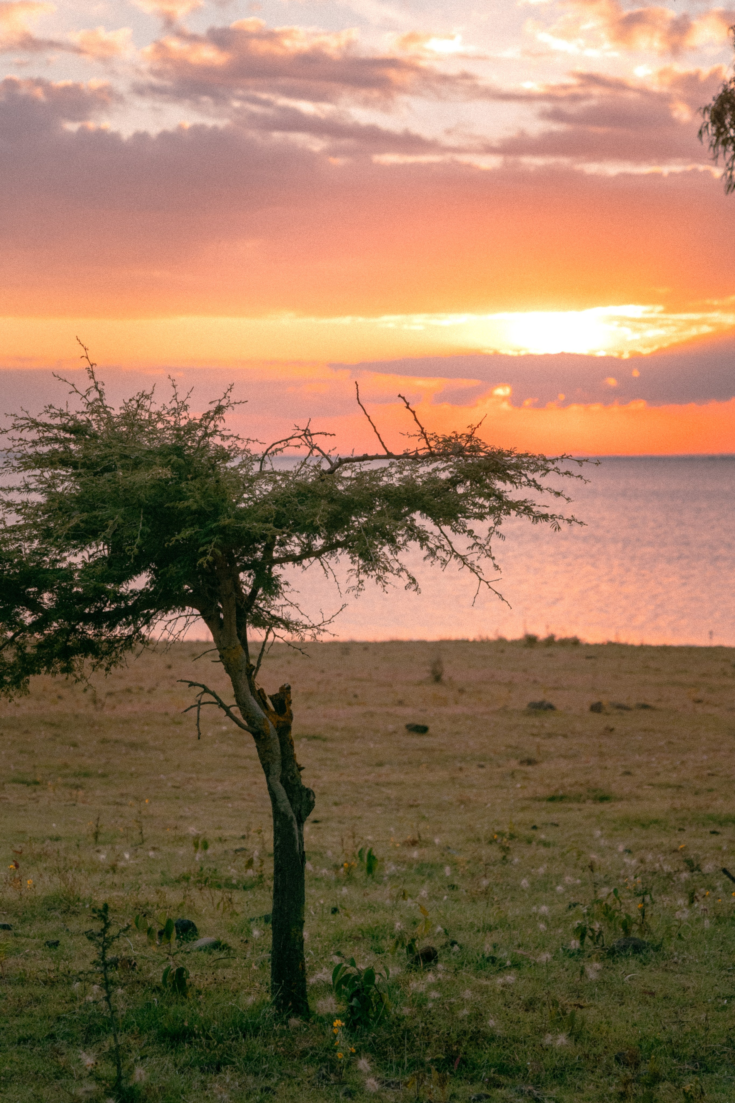 Плато жизни: Эфиопское нагорье. Юля Дэй • Фотограф, Санкт-Петербург