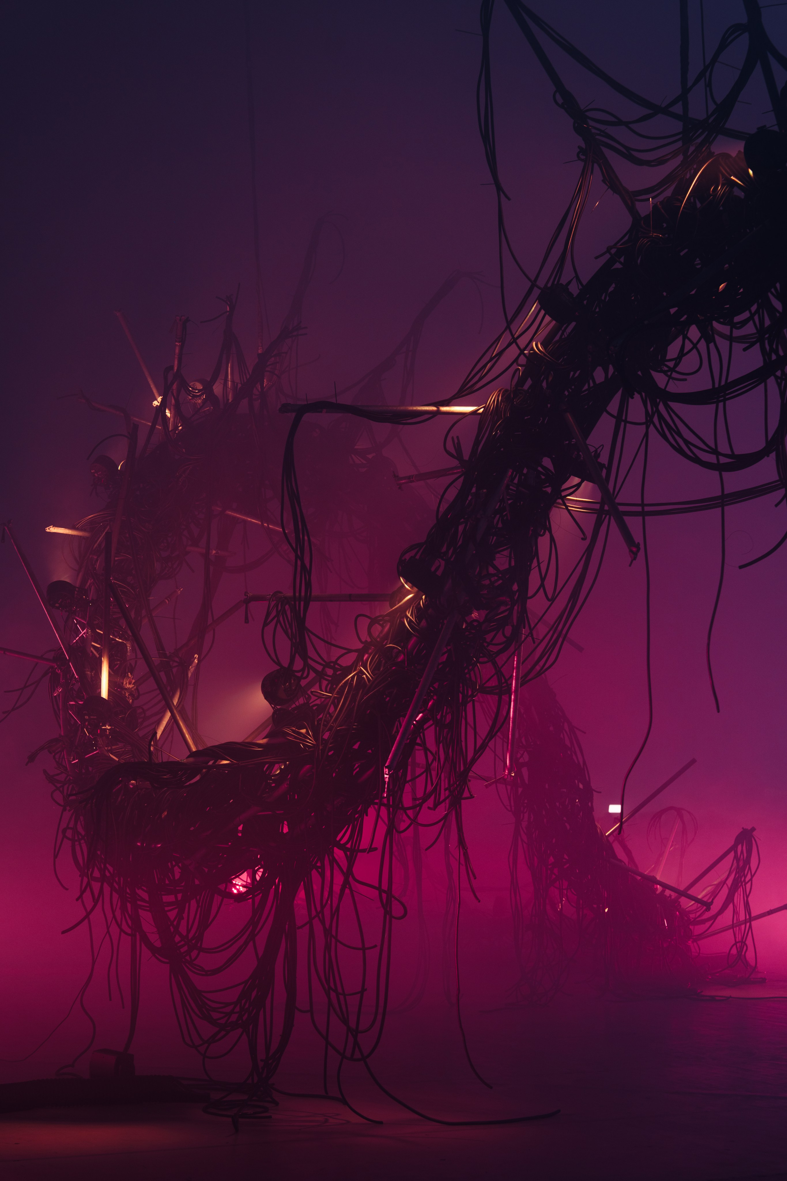 PANTERRA, CHRONOMORPH 001. @tomrus: Рустам Шагиморданов — фотограф