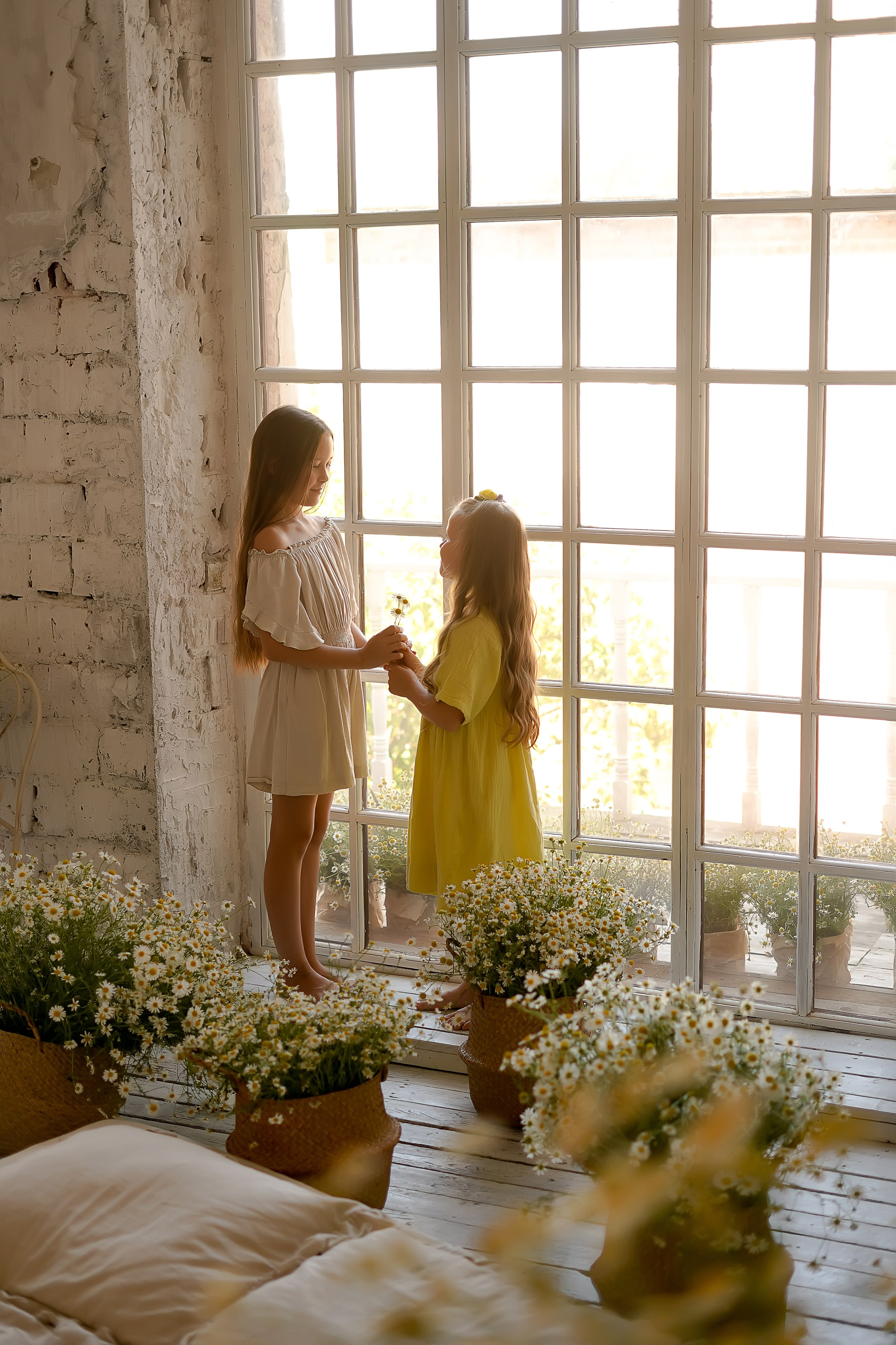 Сестры. Фотограф Татьяна Митрофанова