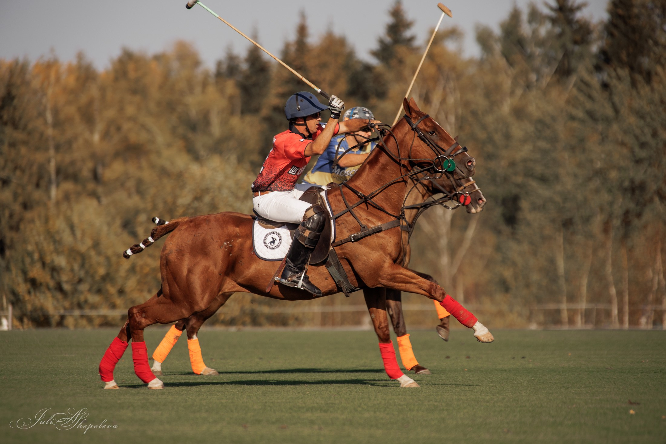 Осенний кубок по конному поло. Детская Конная фотография в Москве Юлия Шепелева