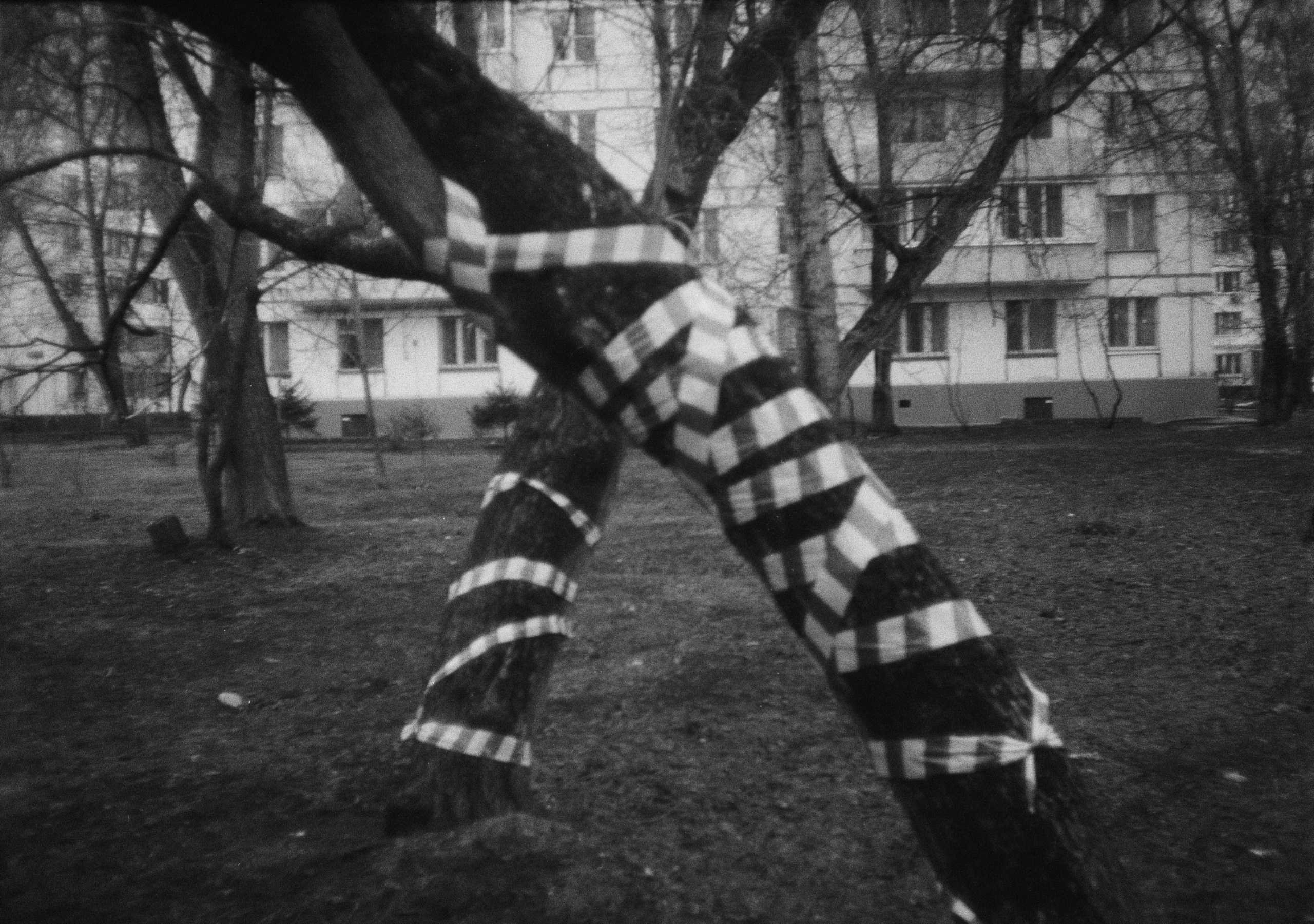 Пленка ЧБ. Фотограф Соня с Земли