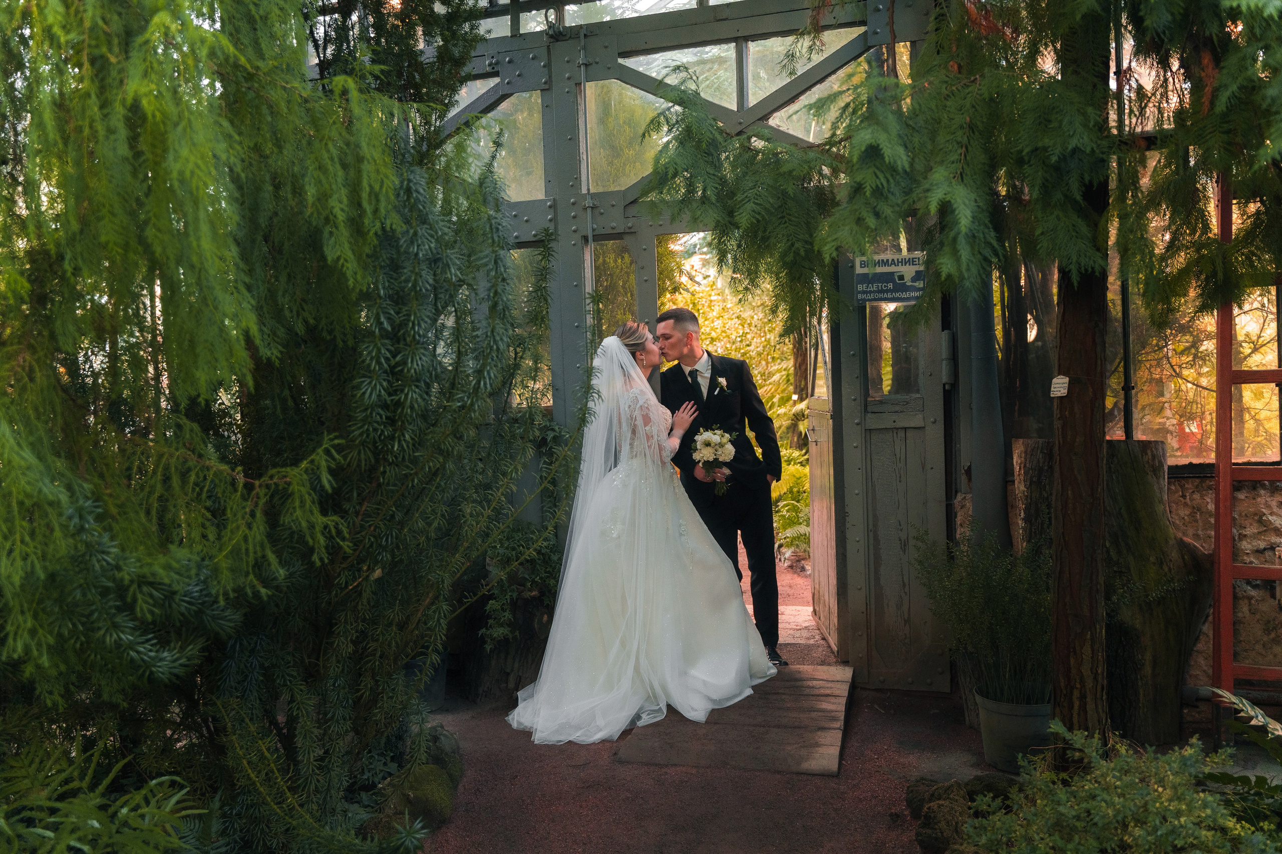 Евгений + Елена