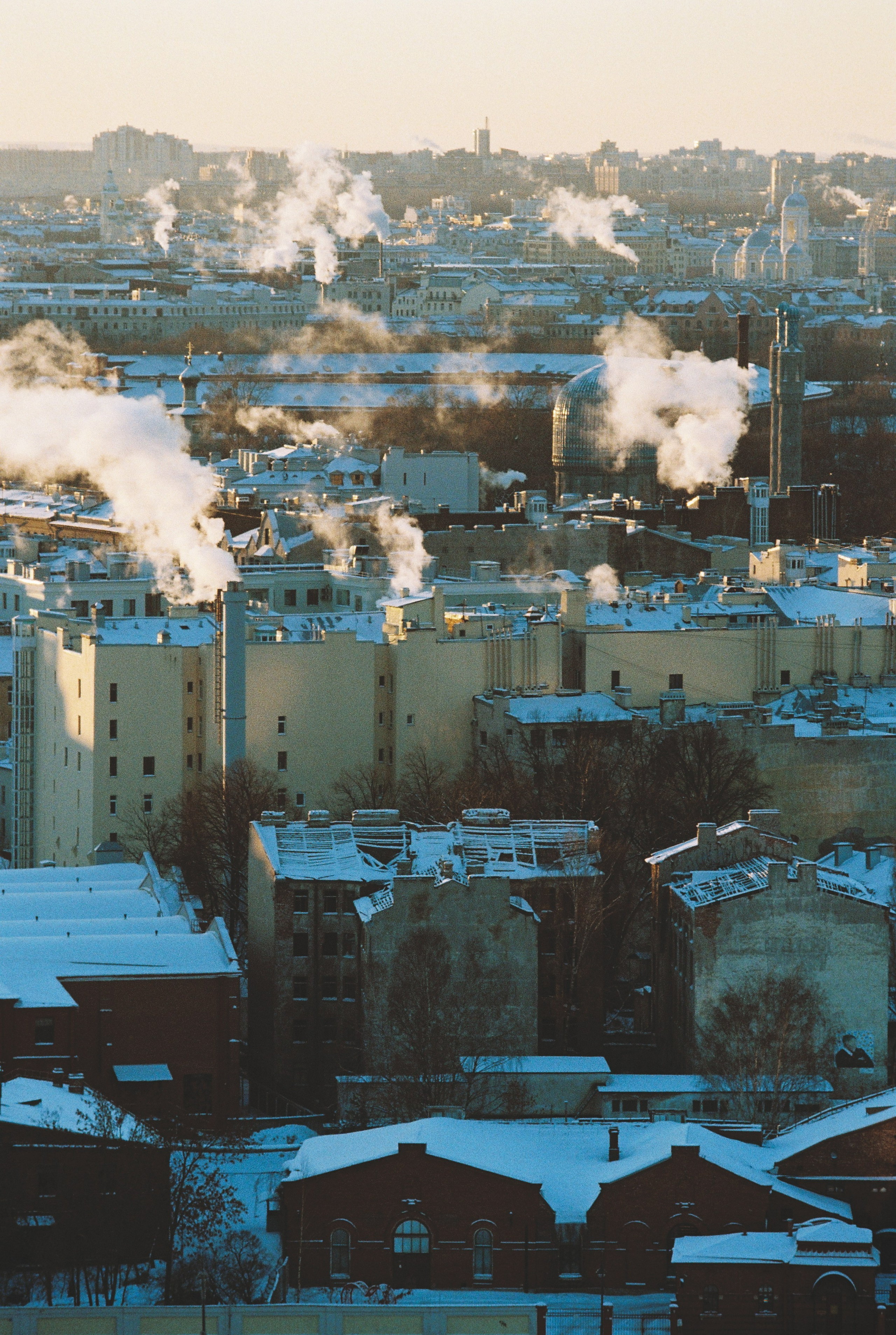 Фотографии цветные. Свадебный и семейный пленочный фотограф в Петербурге Истомина Ирина