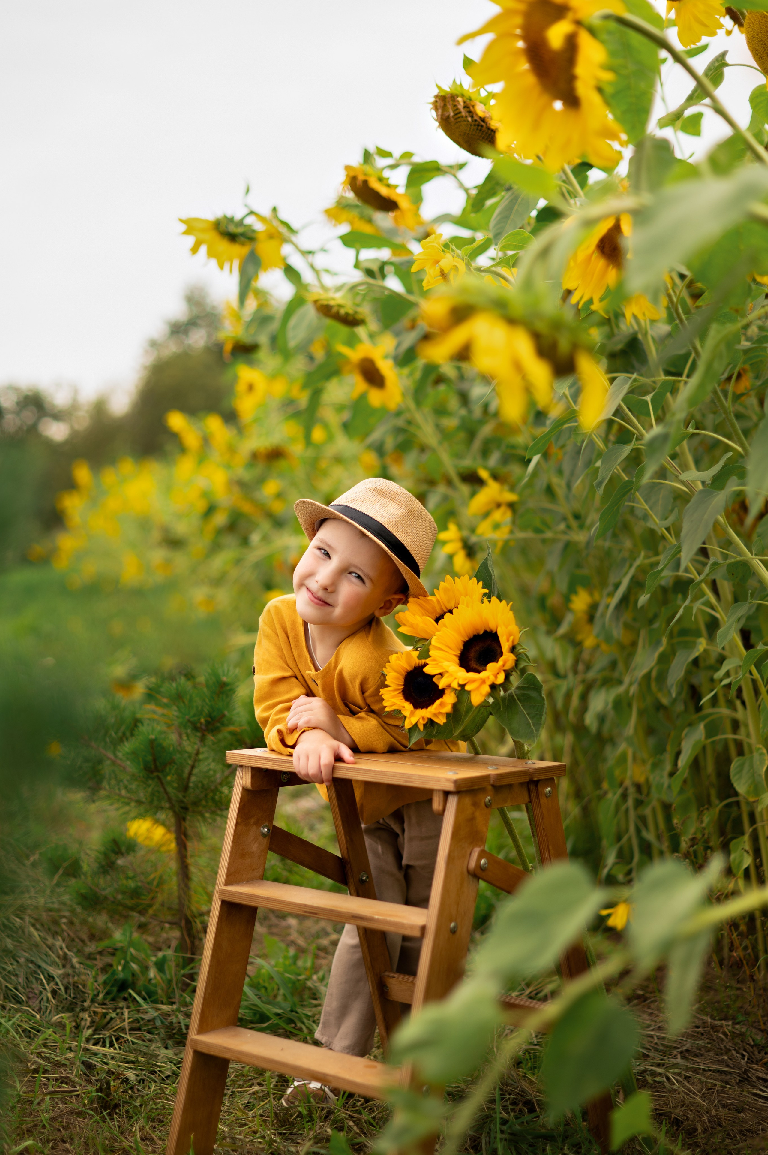 Подсолнухи. Детский и семейный фотограф г. Москва Оксана Катаджи